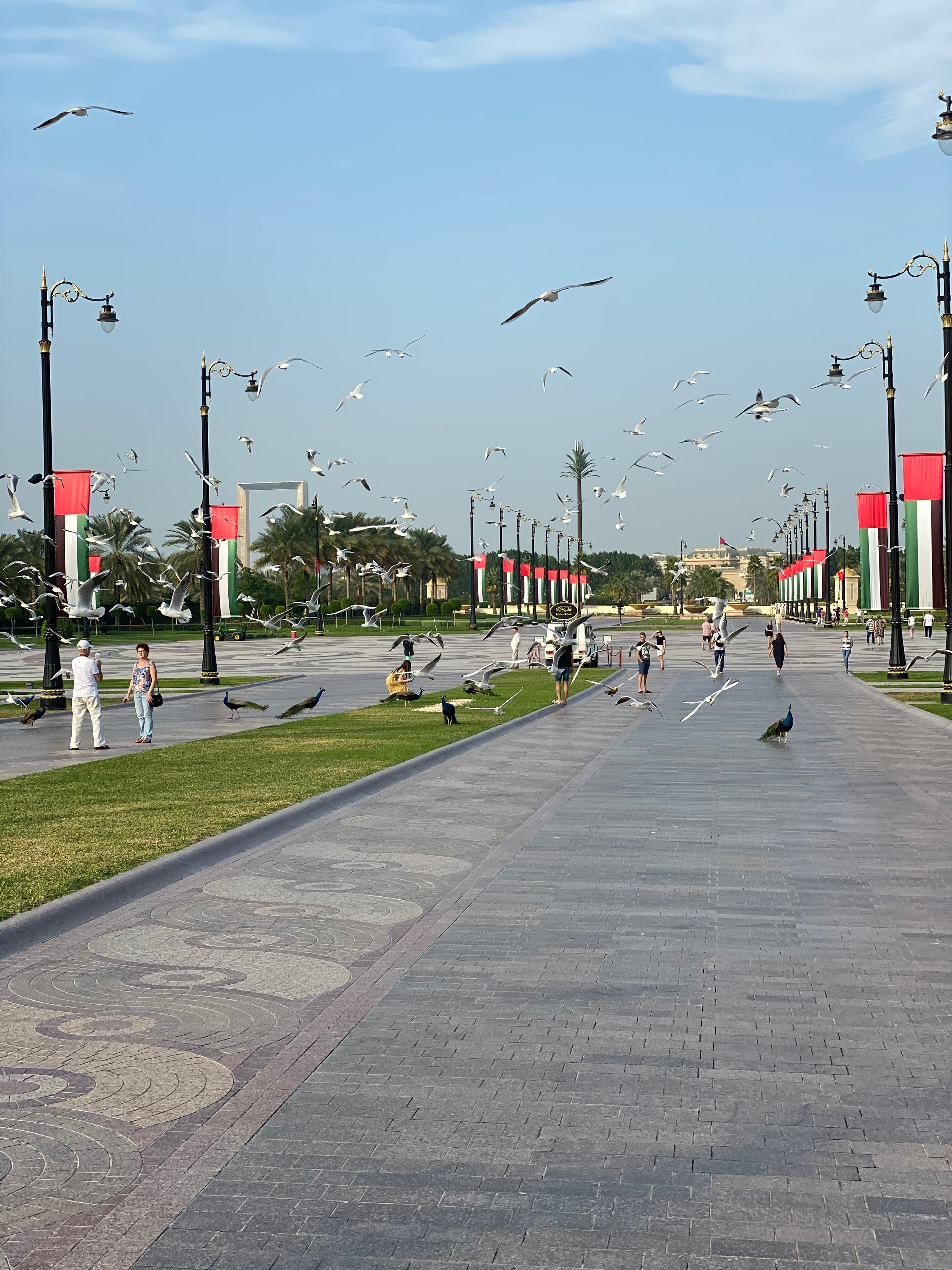 Эмираты — 19. Своя Мастерская