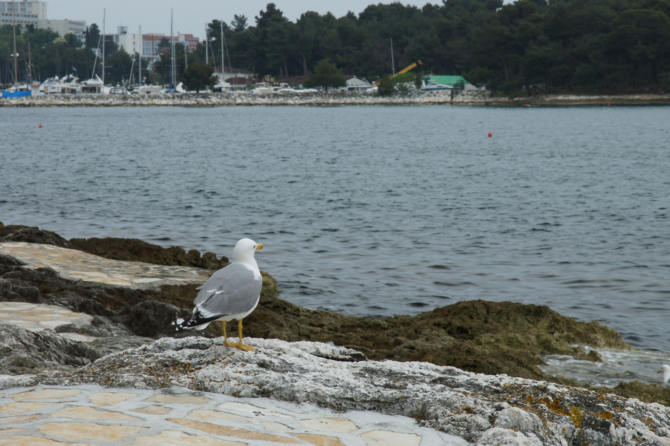 Хорватия. Главная