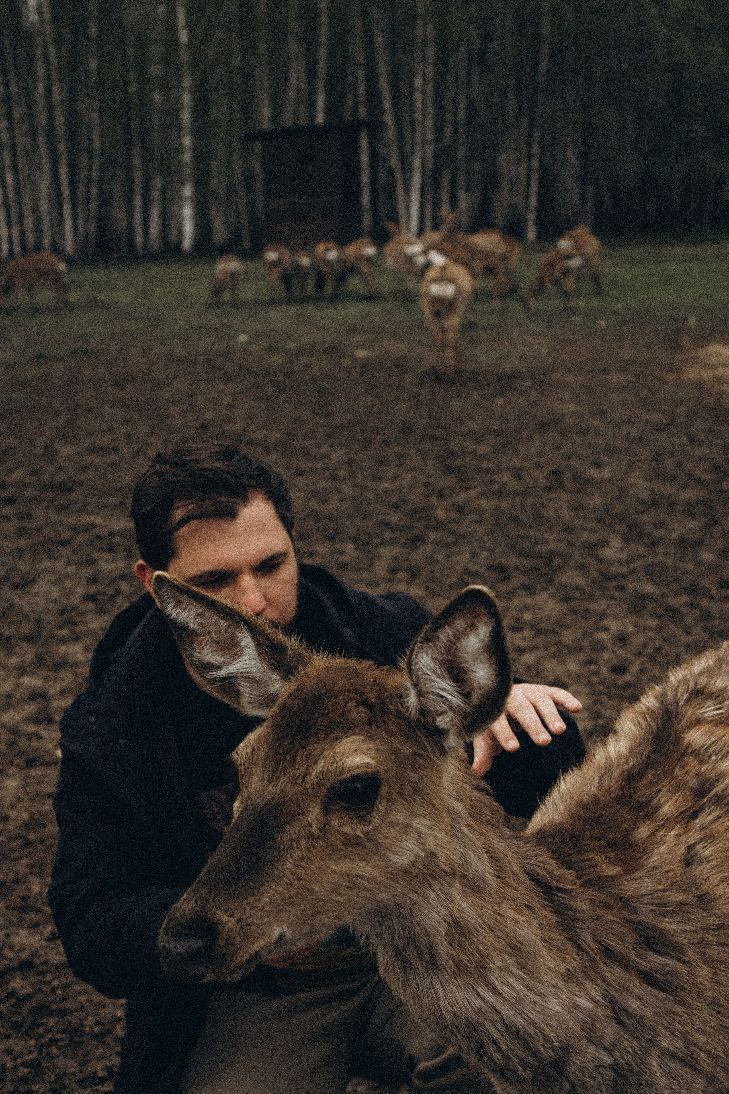 ОЛЕНЬЯ ФЕРМА В ТВЕРИ. Профессиональный фотограф, Санкт-Петербург — Виктория Богомолова