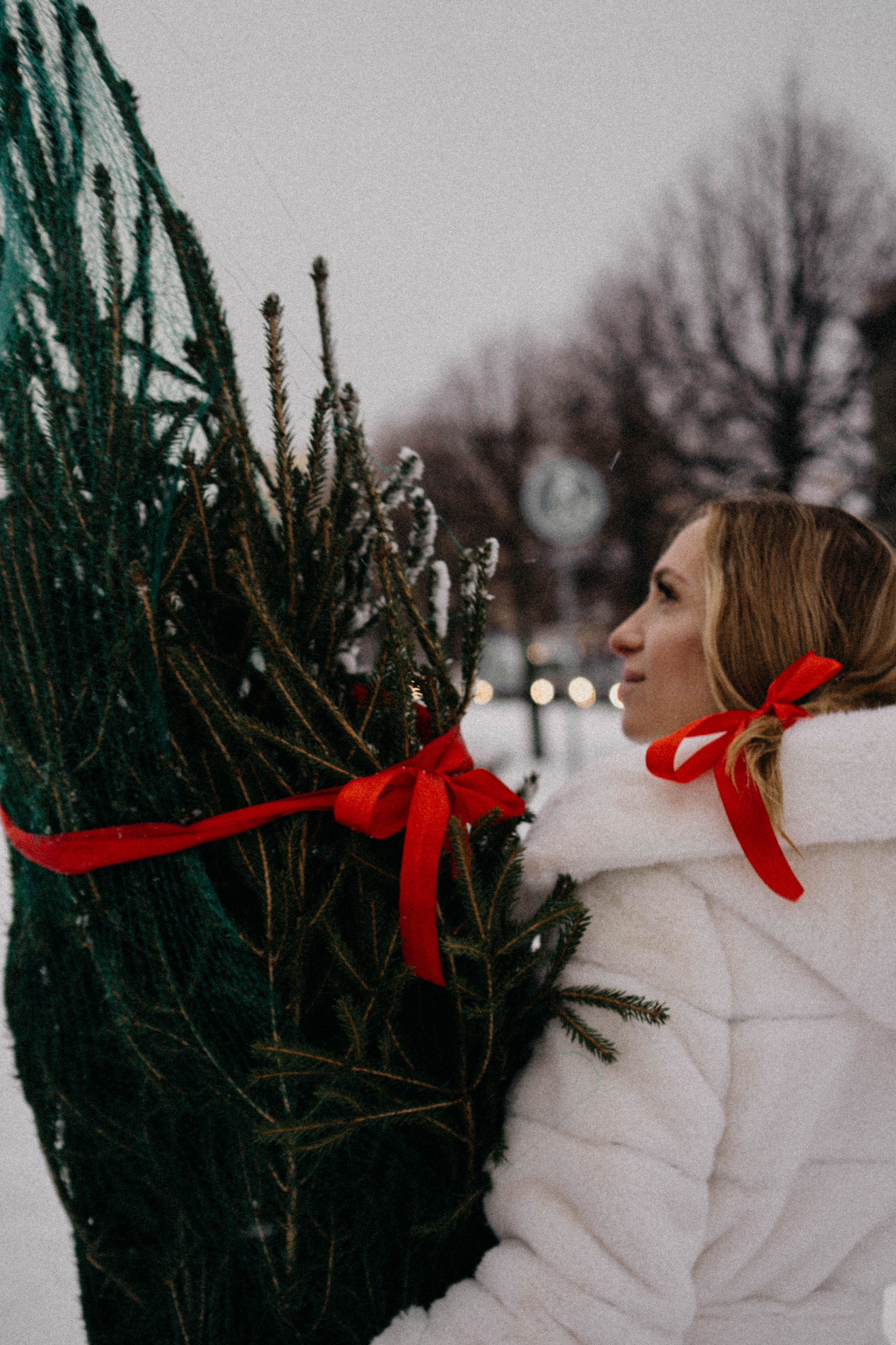 Новогодняя. Профессиональный фотограф, Санкт-Петербург — Виктория Богомолова