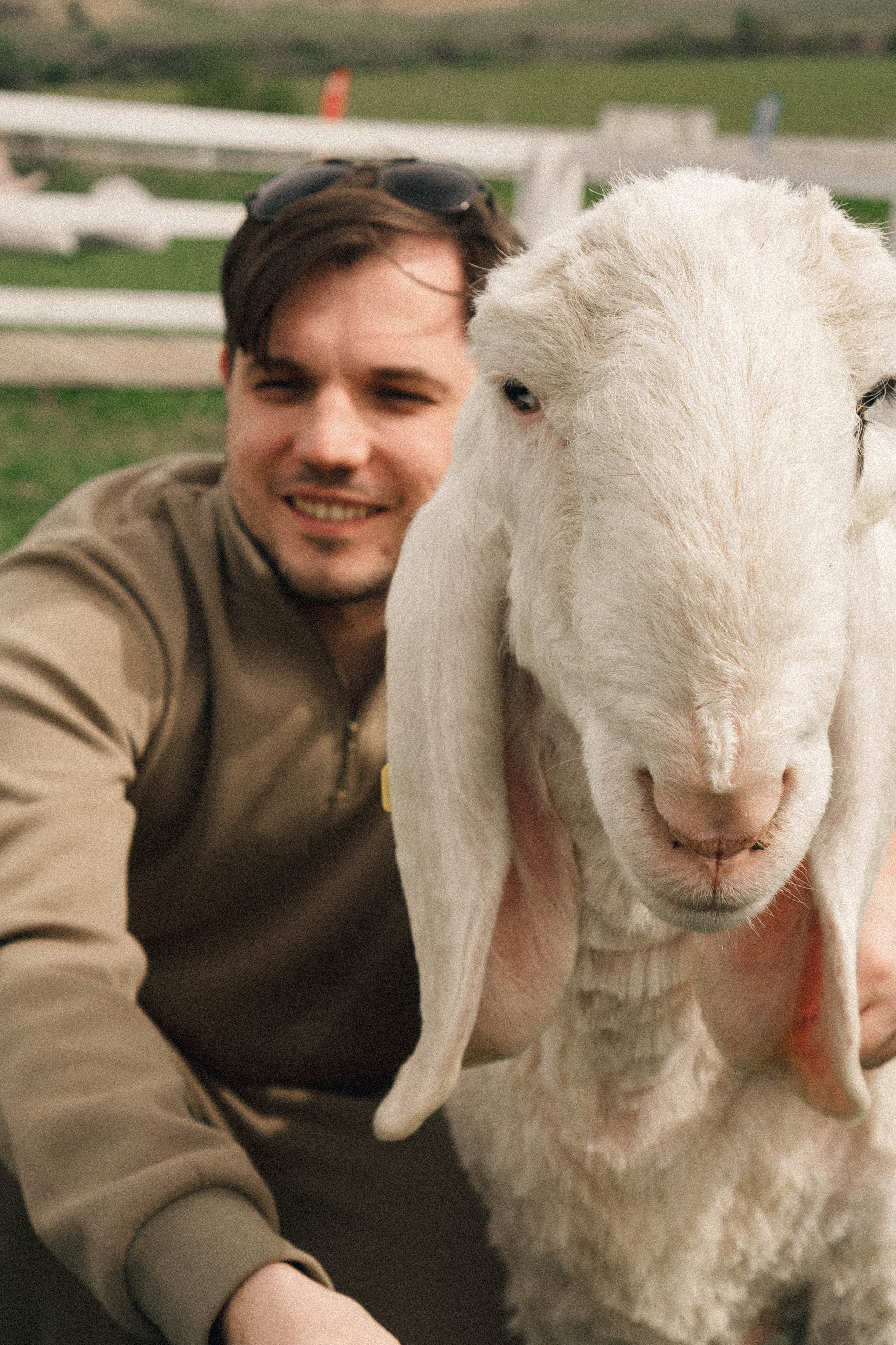 Ферма Альпак. Профессиональный фотограф, Санкт-Петербург — Виктория Богомолова