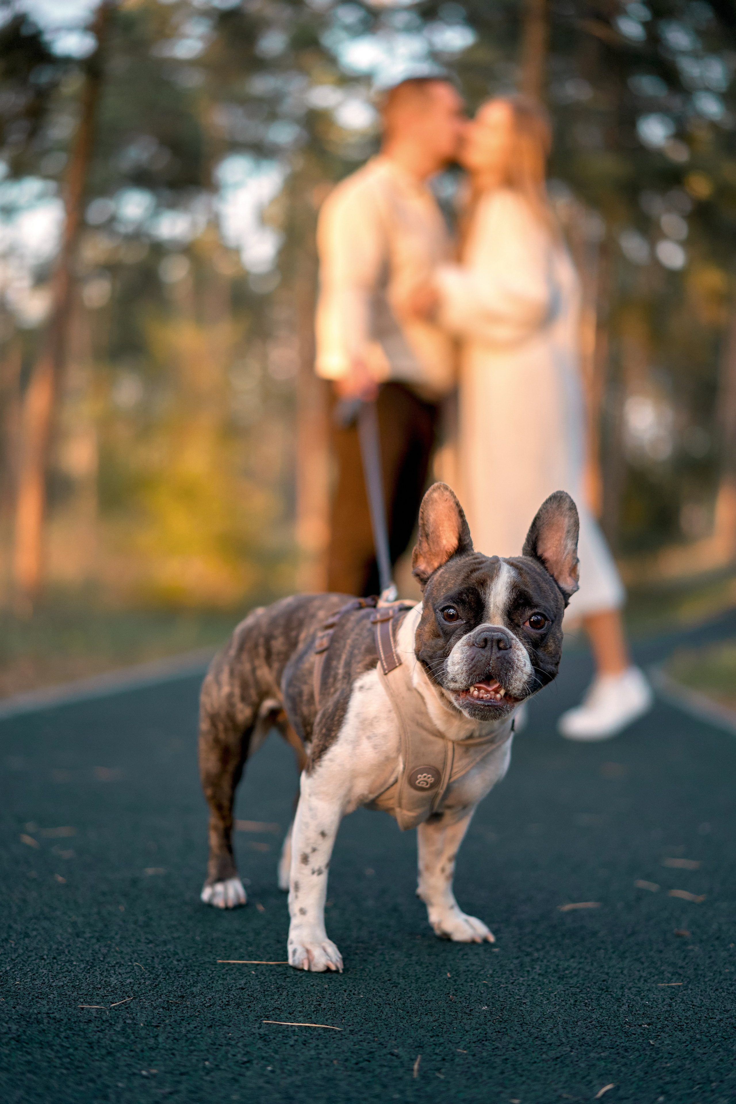 Никита & Дарья. Фотограф в Санкт-Петербурге Цуркан Алёна