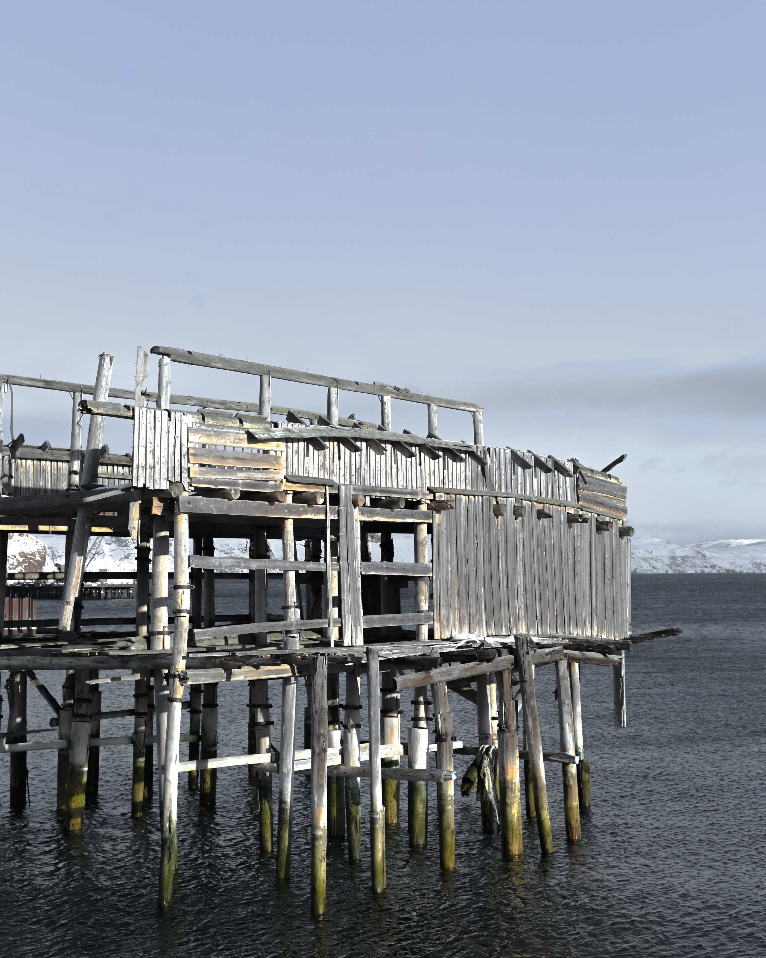 TRAVEL. Dmitry Ganin