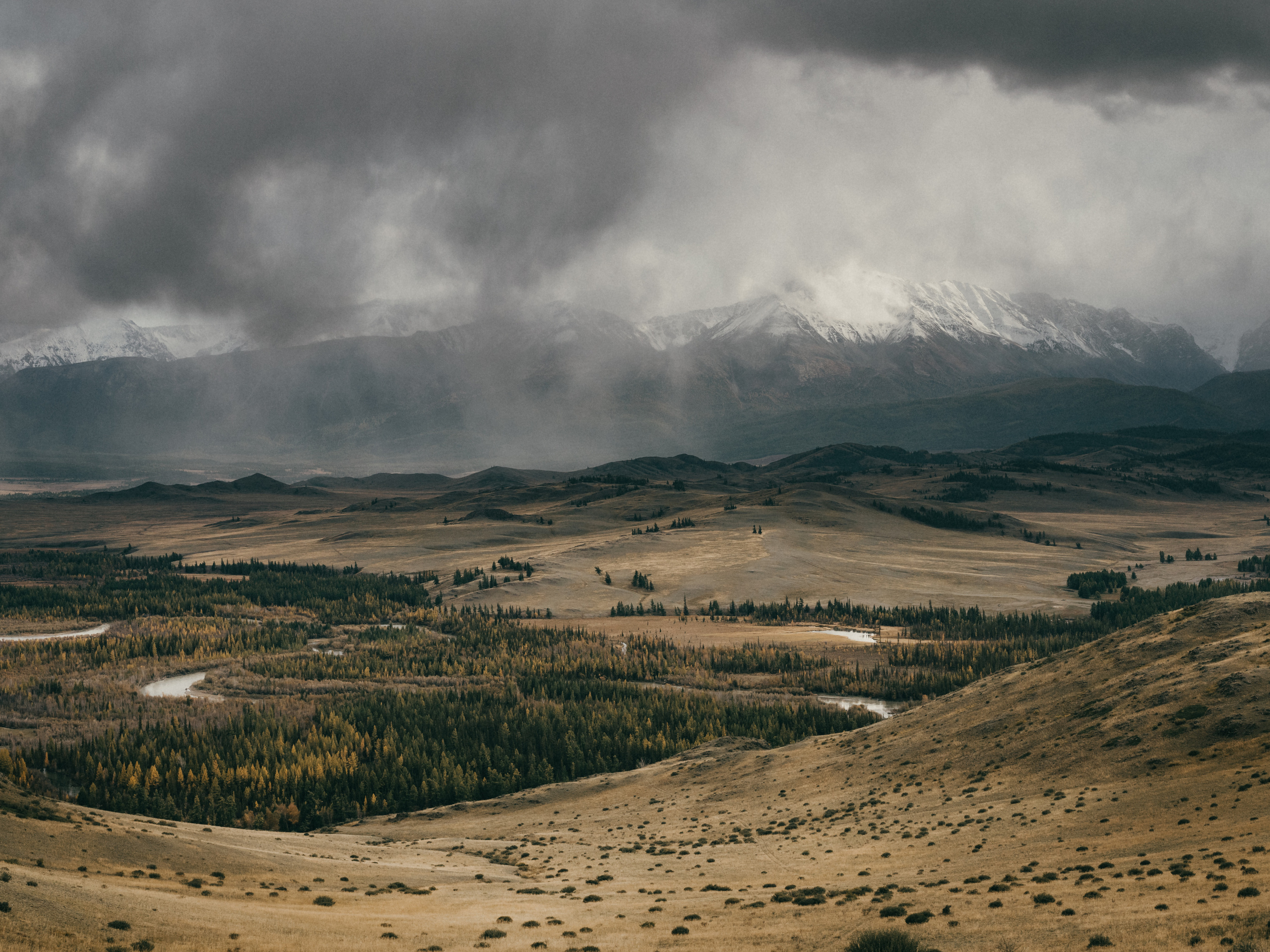 TRAVEL. Dmitry Ganin