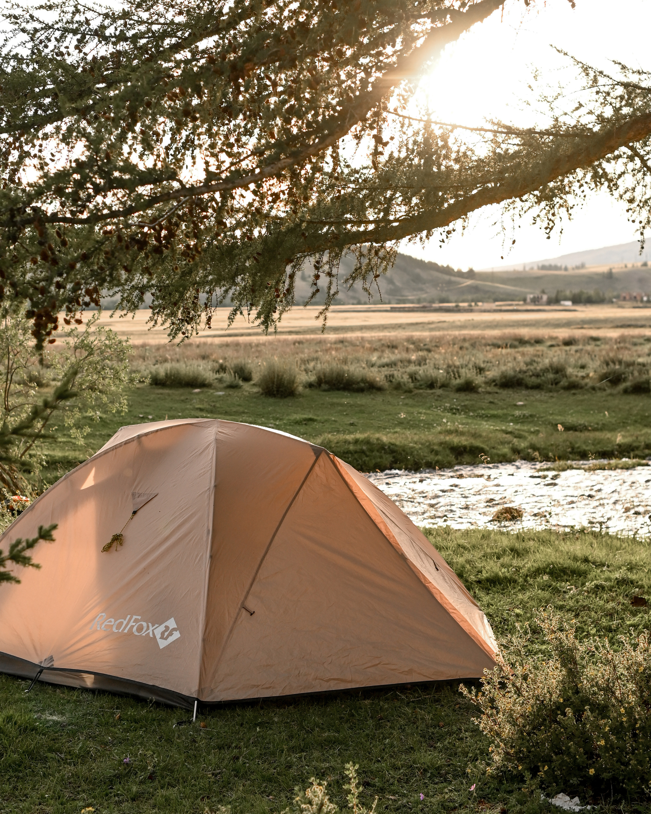 TRAVEL. Dmitry Ganin