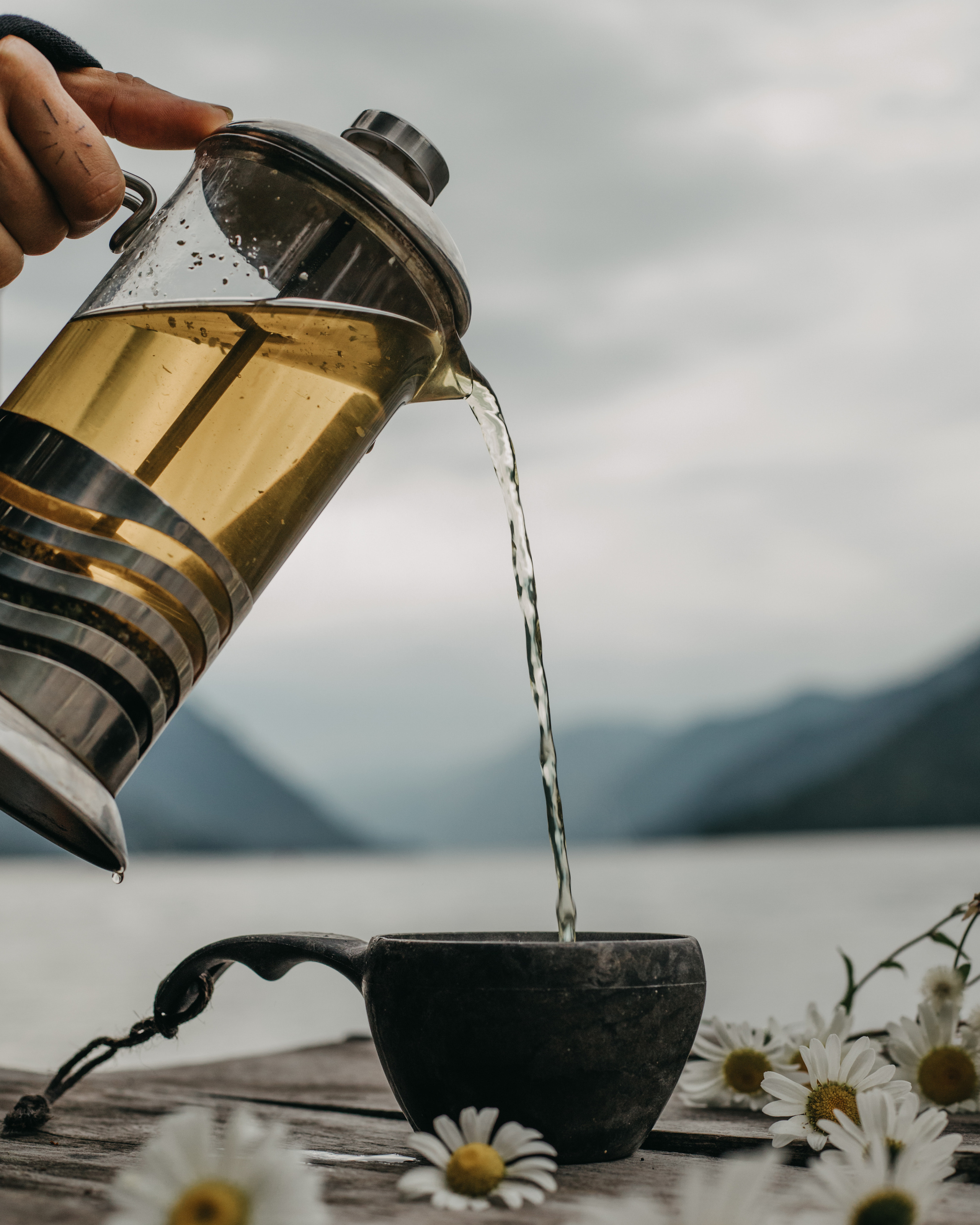 TRAVEL. Dmitry Ganin