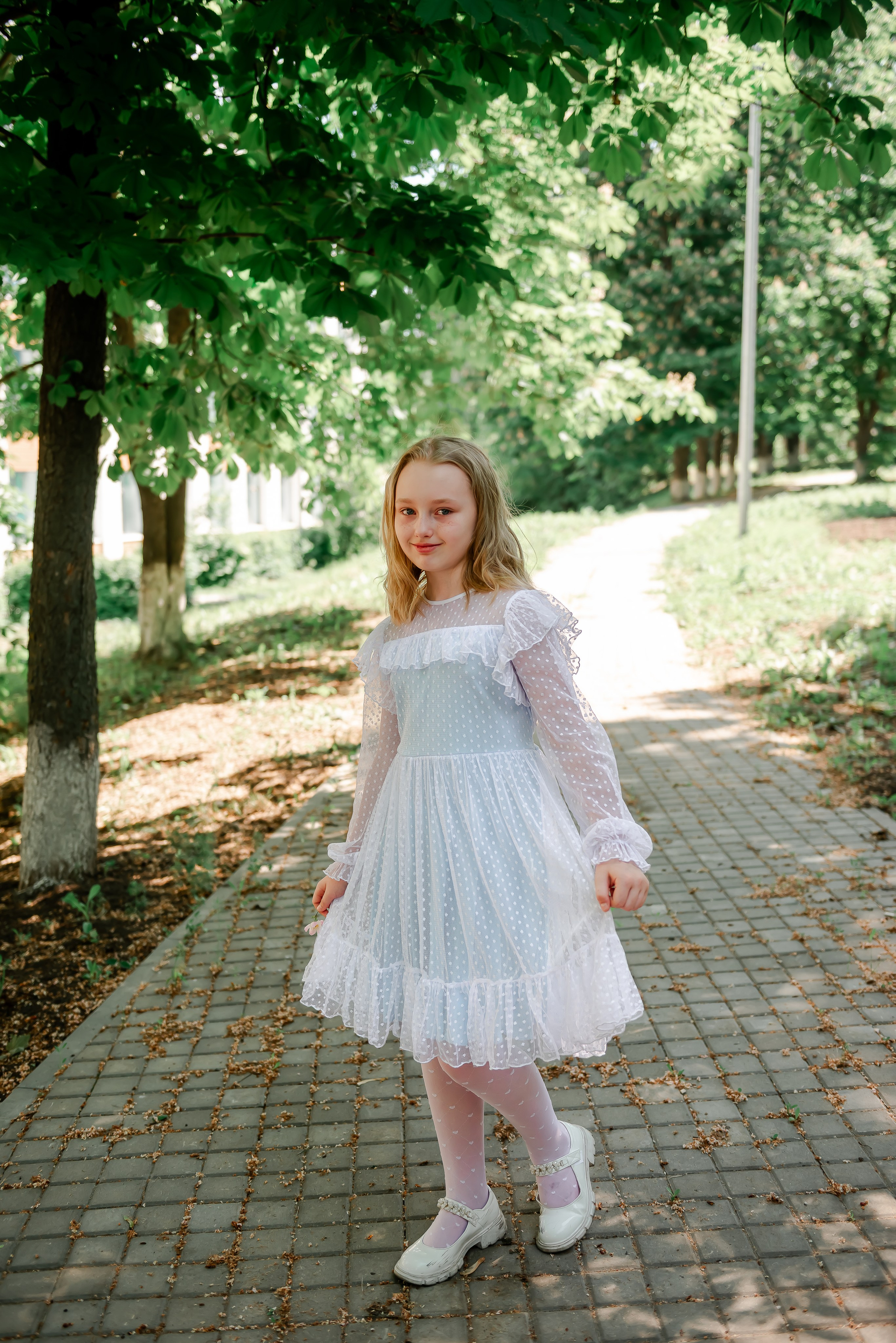 4 «Б» |г.Белгород |31 школа|2024-2025. ALBUMIA