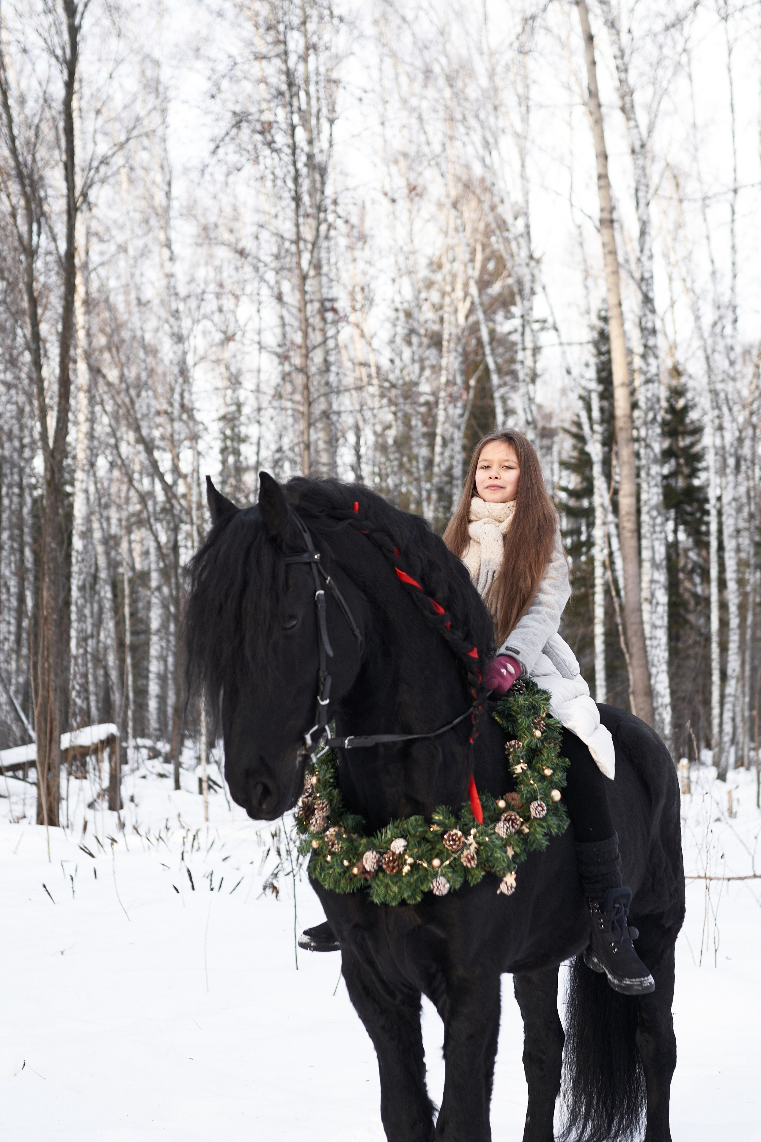 Новогодний Фотодень с фризским жеребцом. Фотосессии с лошадьми в Москве, Новосибирске