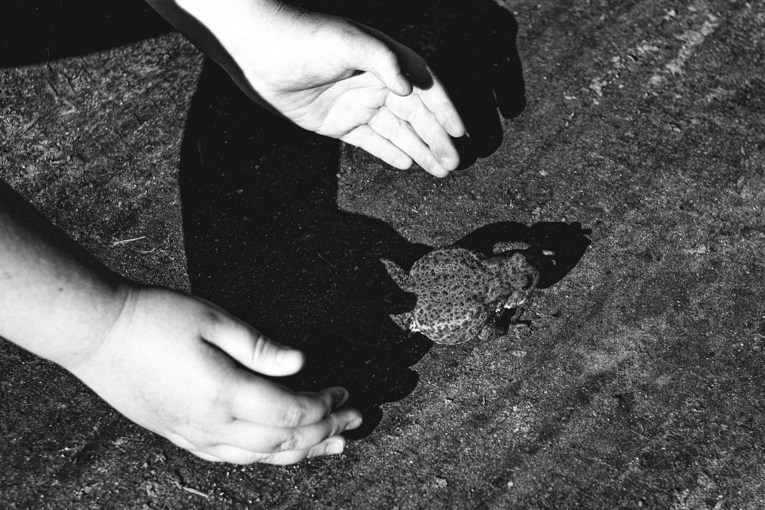 Фотографии Лены Соколовой