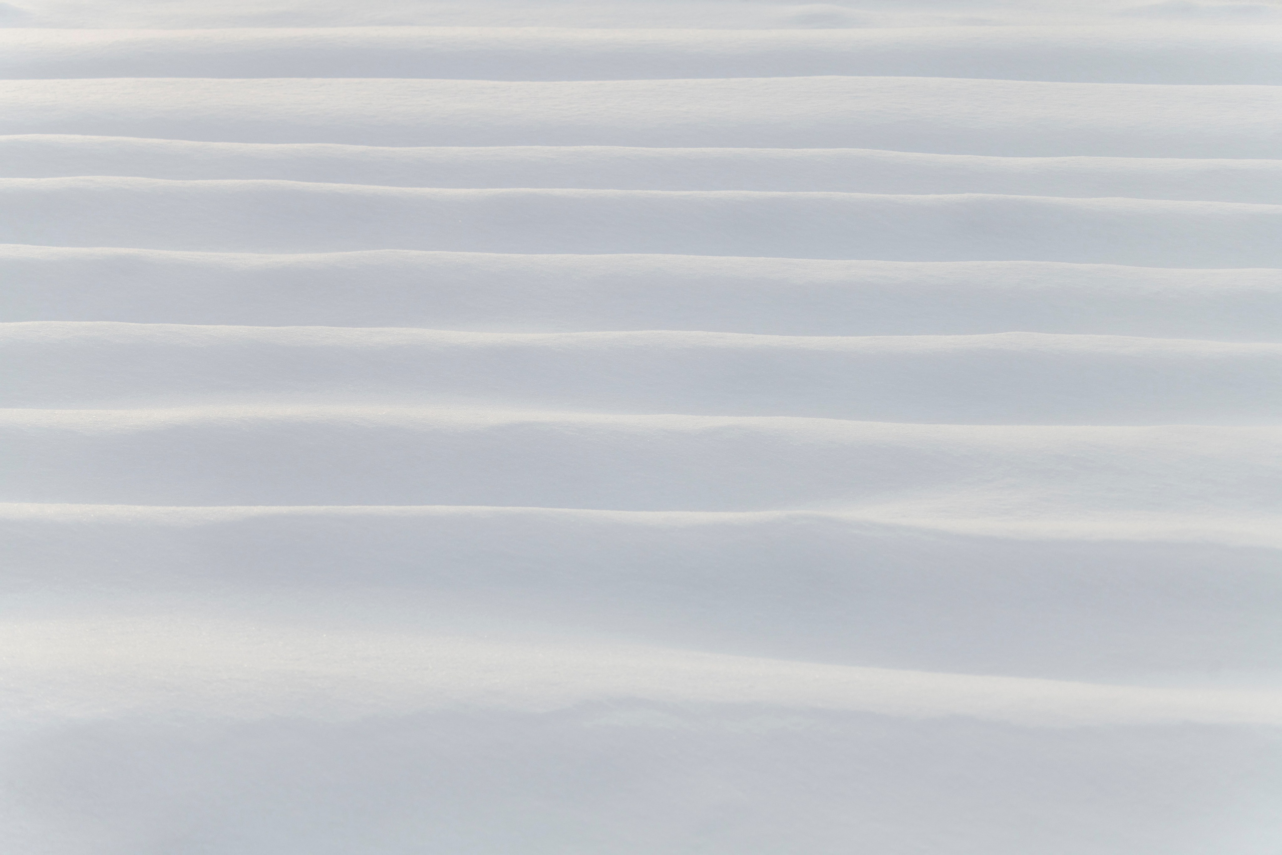 Цветные фотографии. Фотографии Лены Соколовой