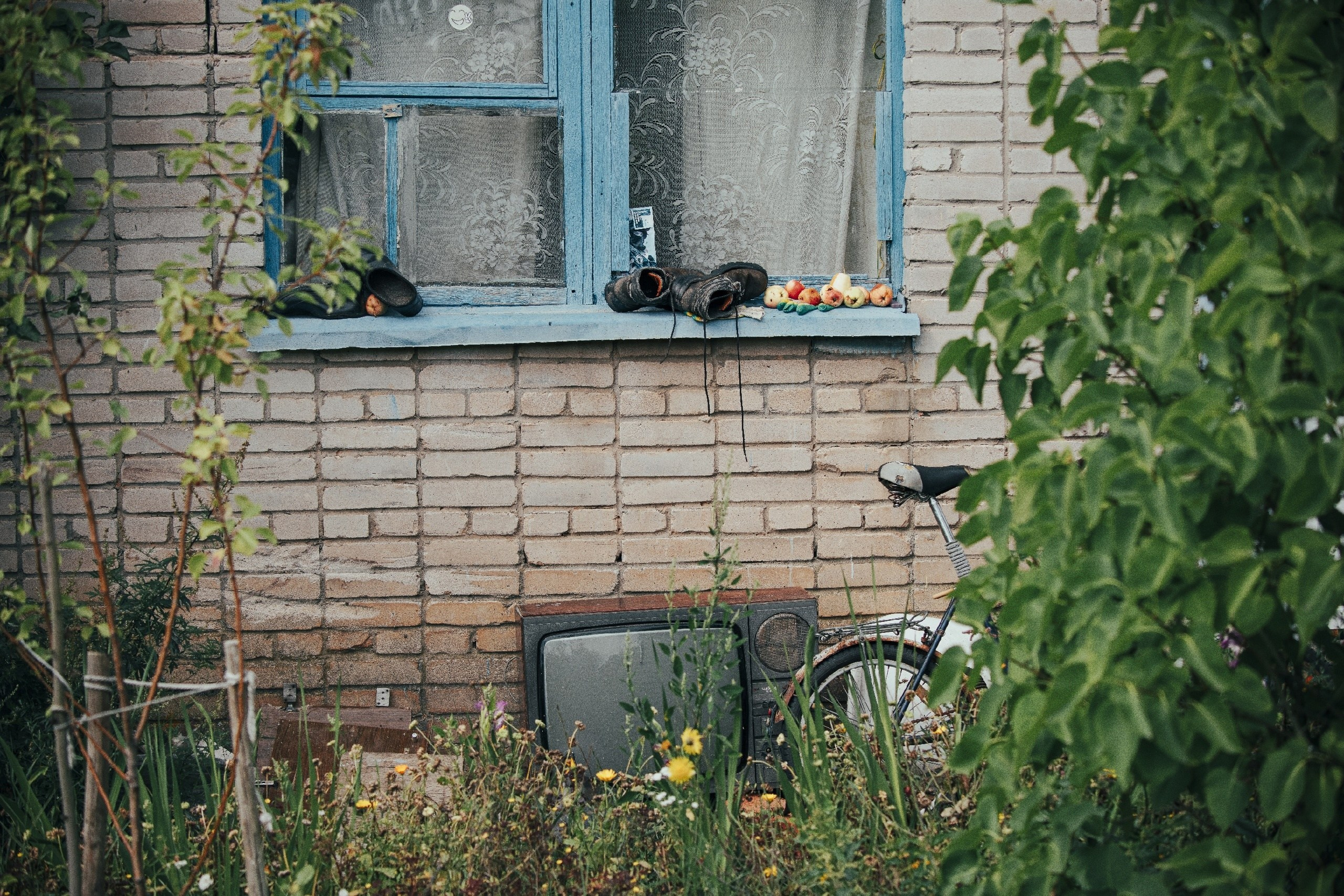 Цветные фотографии. Фотографии Лены Соколовой