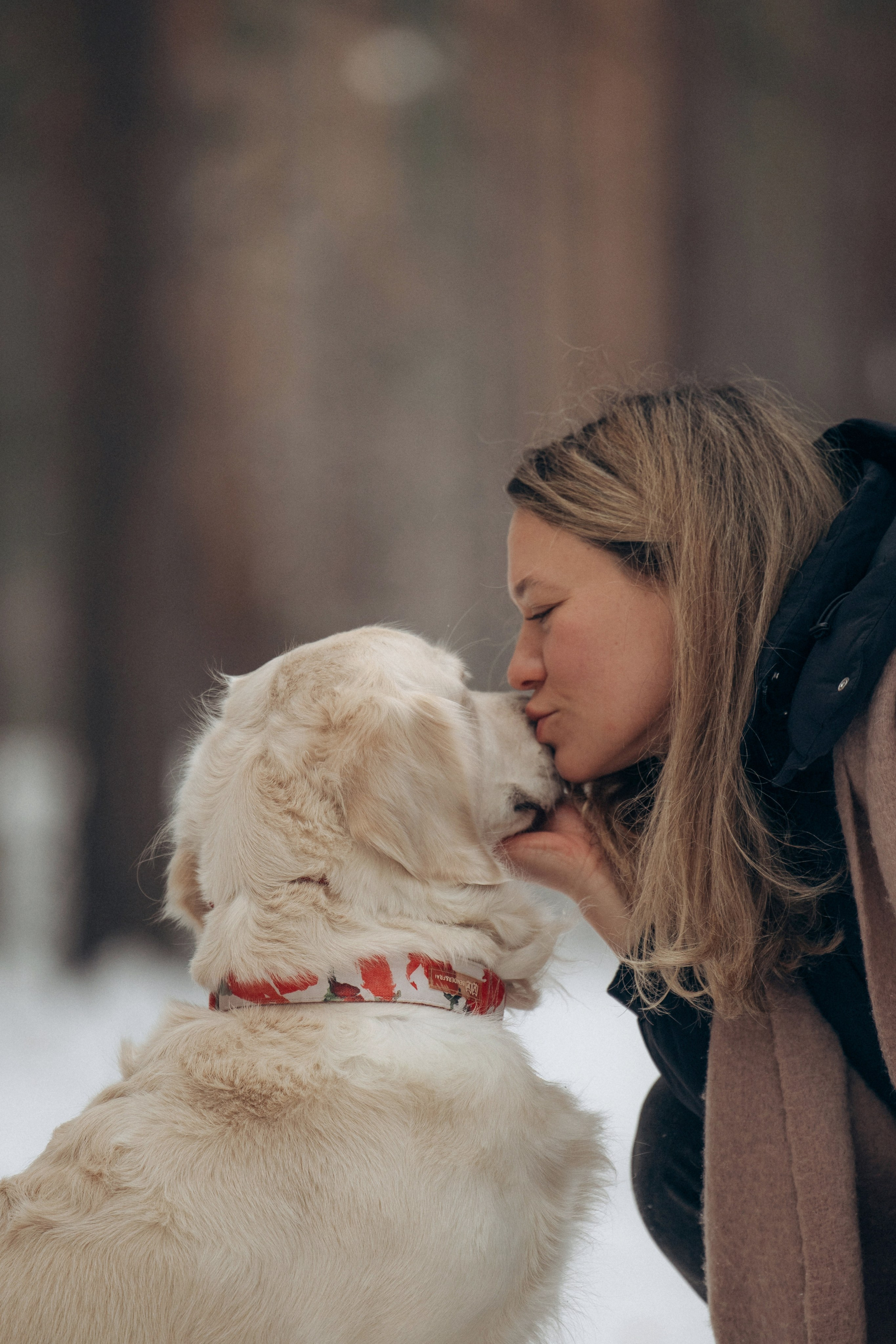 Зима. Лес. Татьяна и Делла. Фотограф анималист в Казани Алина Сулейманова. Фотограф животных