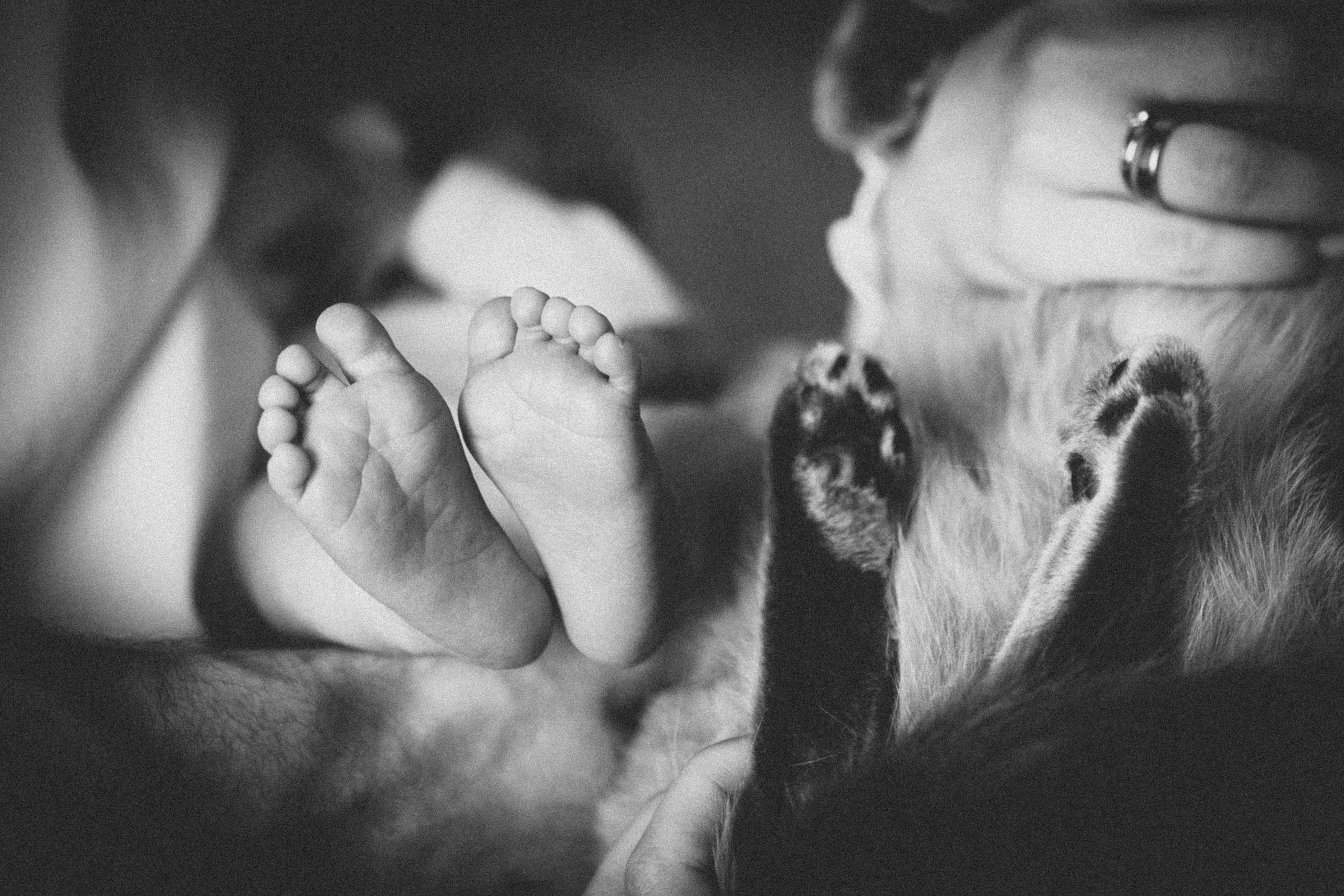 Ира, Дима, Кирюша, бабушка и Тайсон. Семейный фотограф и фотограф на роды в Ростове-на-Дону Мухина Виктория