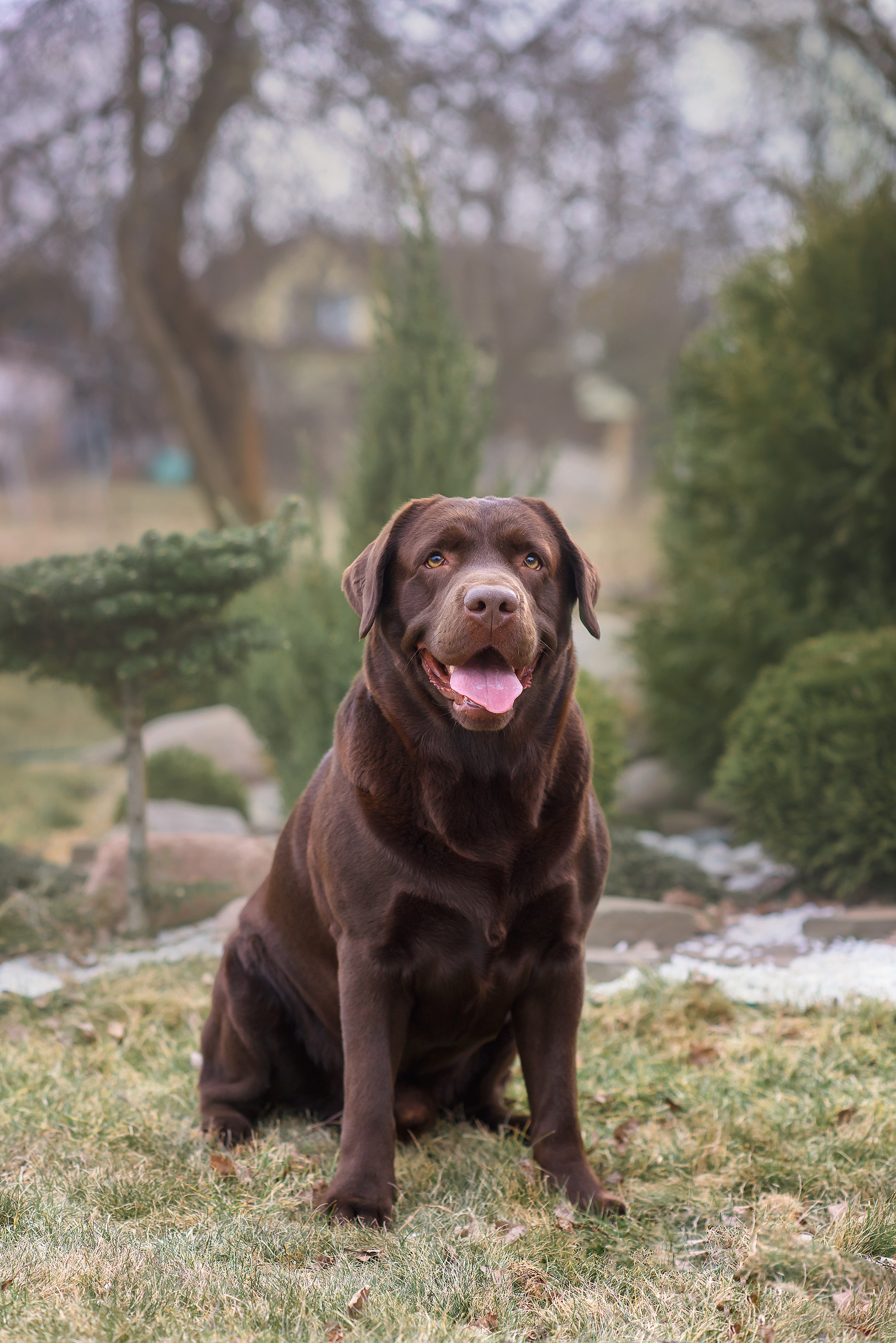Животные. Семейный фотограф в Минске Виктория Дубровская