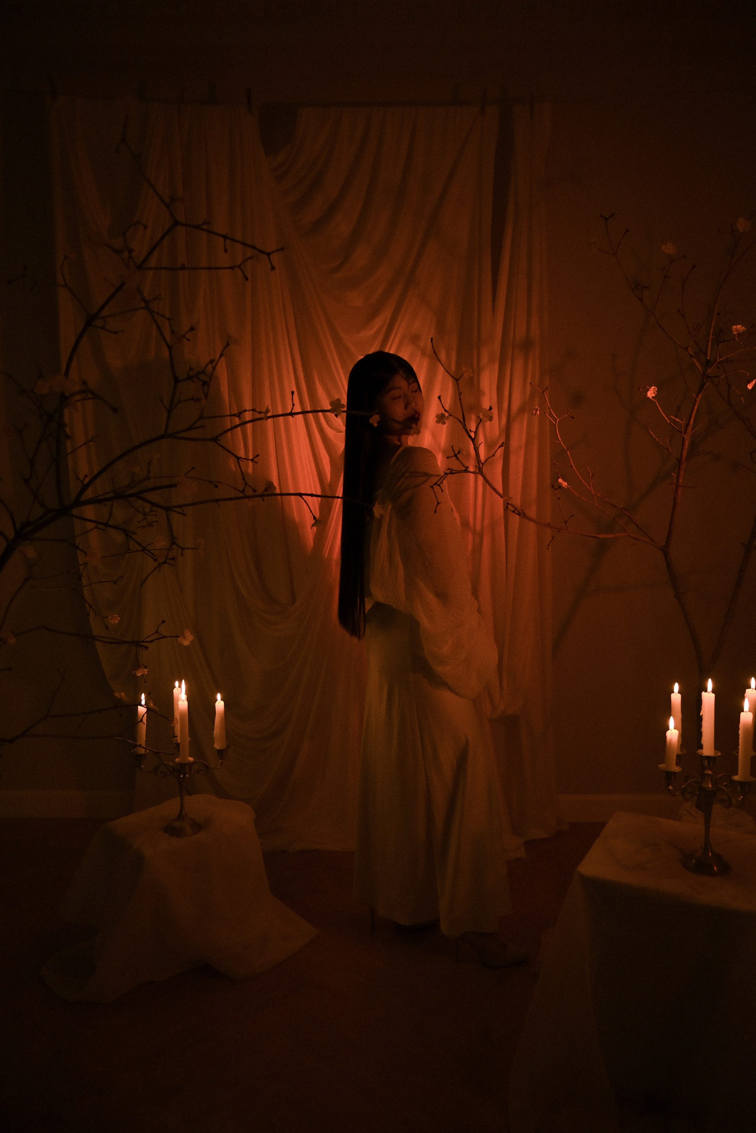 Сакура. Ваш фотограф