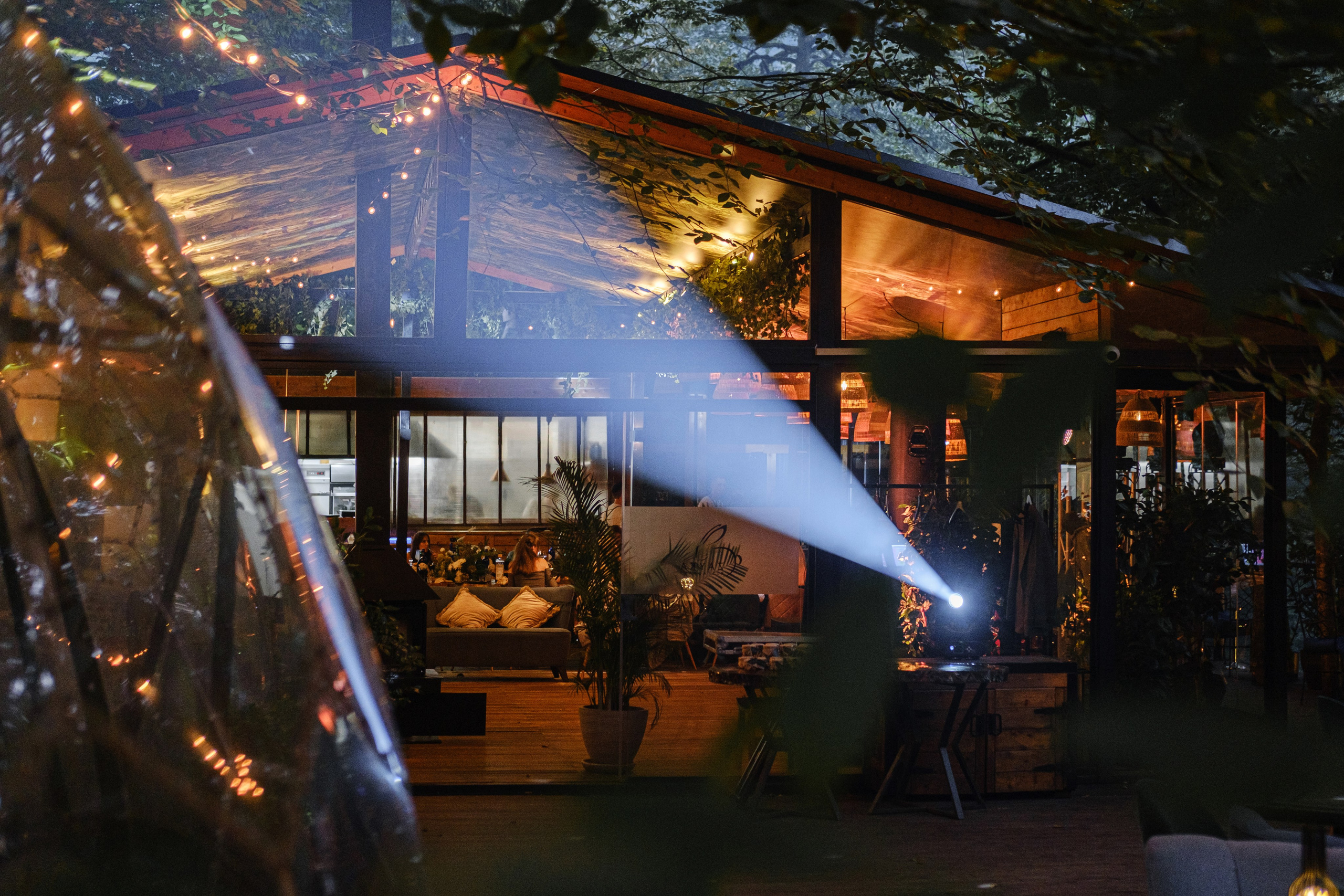 Кот и Дракон. Свадебный Видеограф Фотограф в Сочи