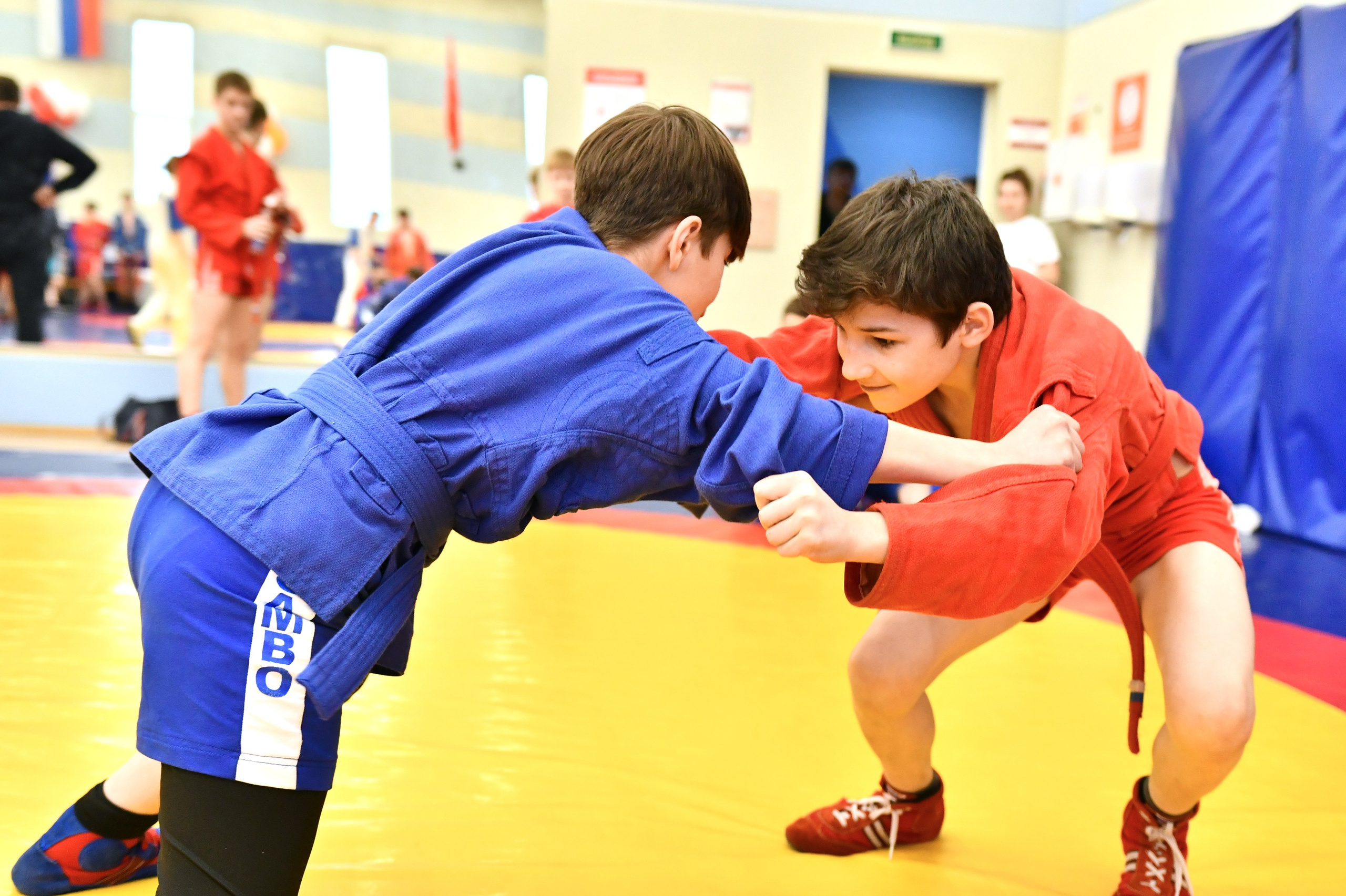 Самбо. Турнир «Александр Невский — воин-победитель». Фото детских спортивных мероприятий и всякое интересное через объектив