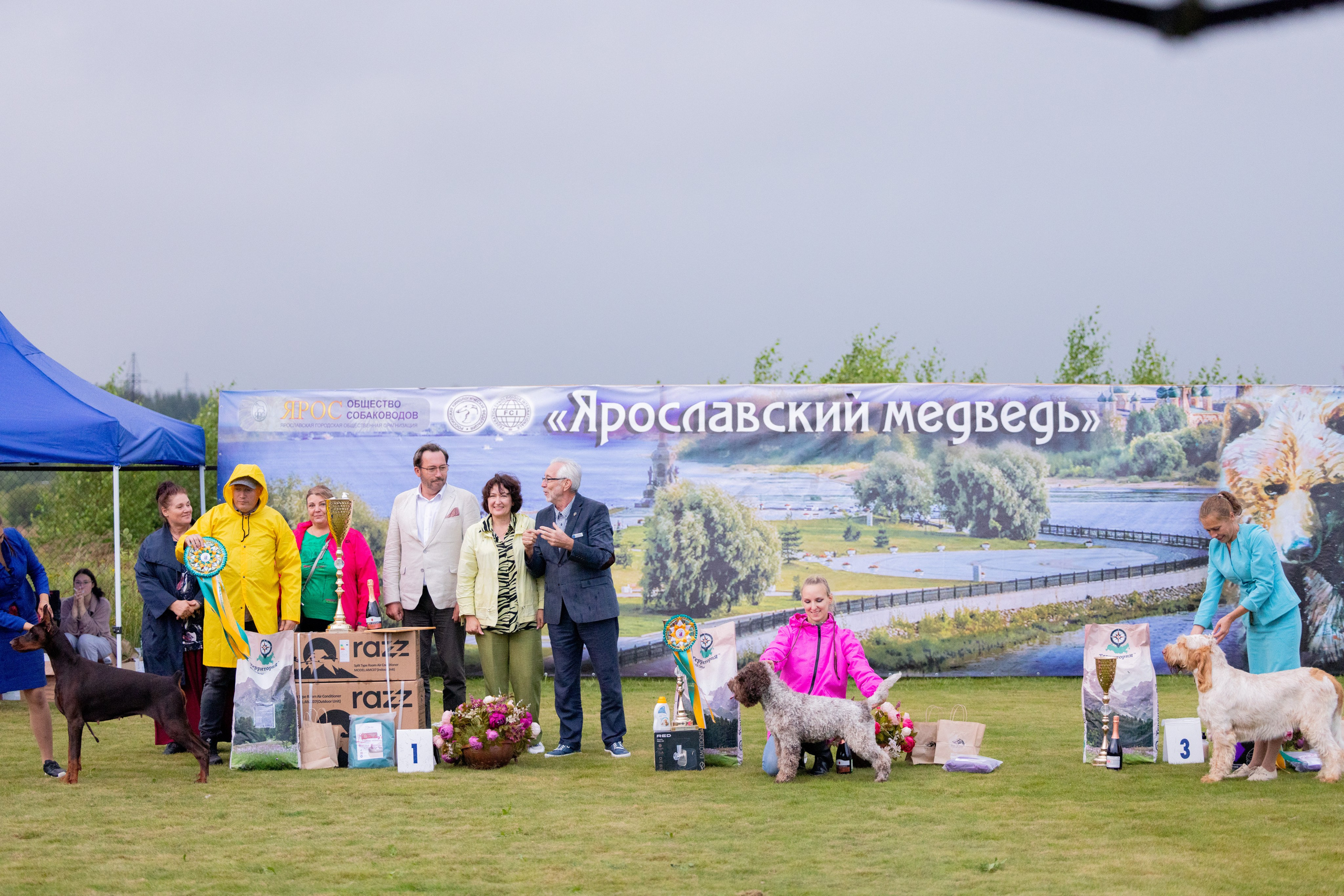 Ярославль 21.07.24 и Балашиха 13.07.24. Фотограф-анималист Юлия Германика