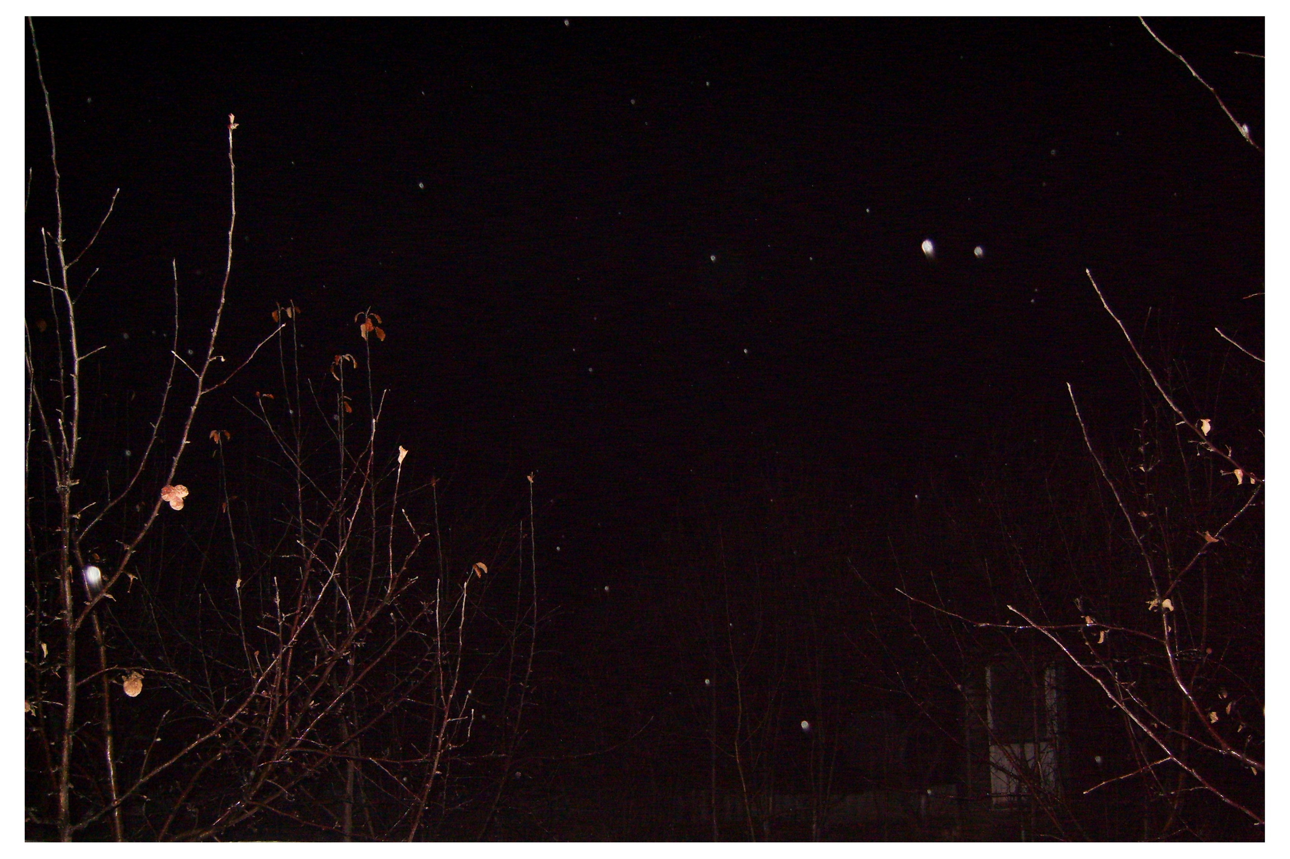 MIASS. Photographer Manakova Olga