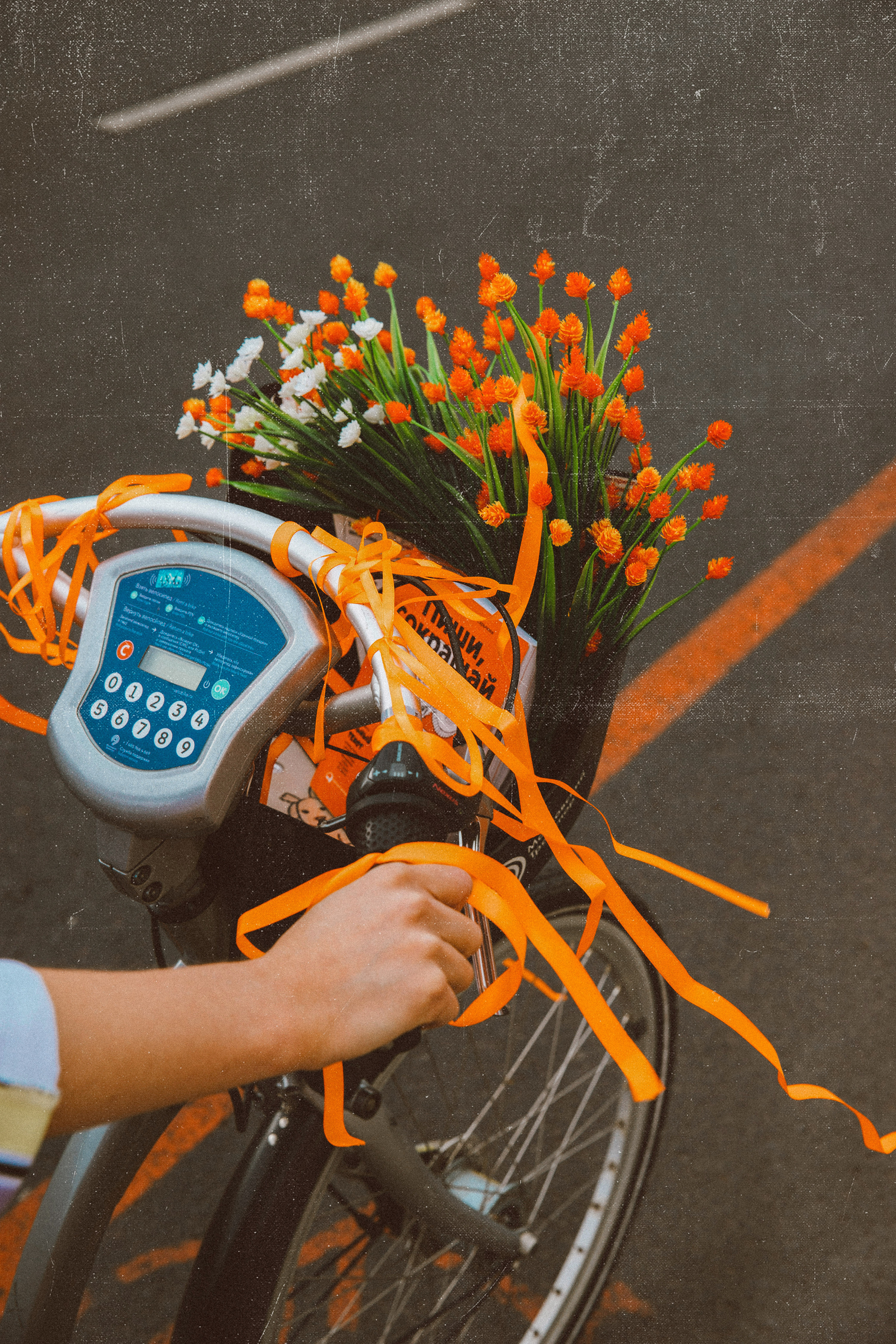 Велополосы ЦОДД. ФОТОГРАФ МОСКВА