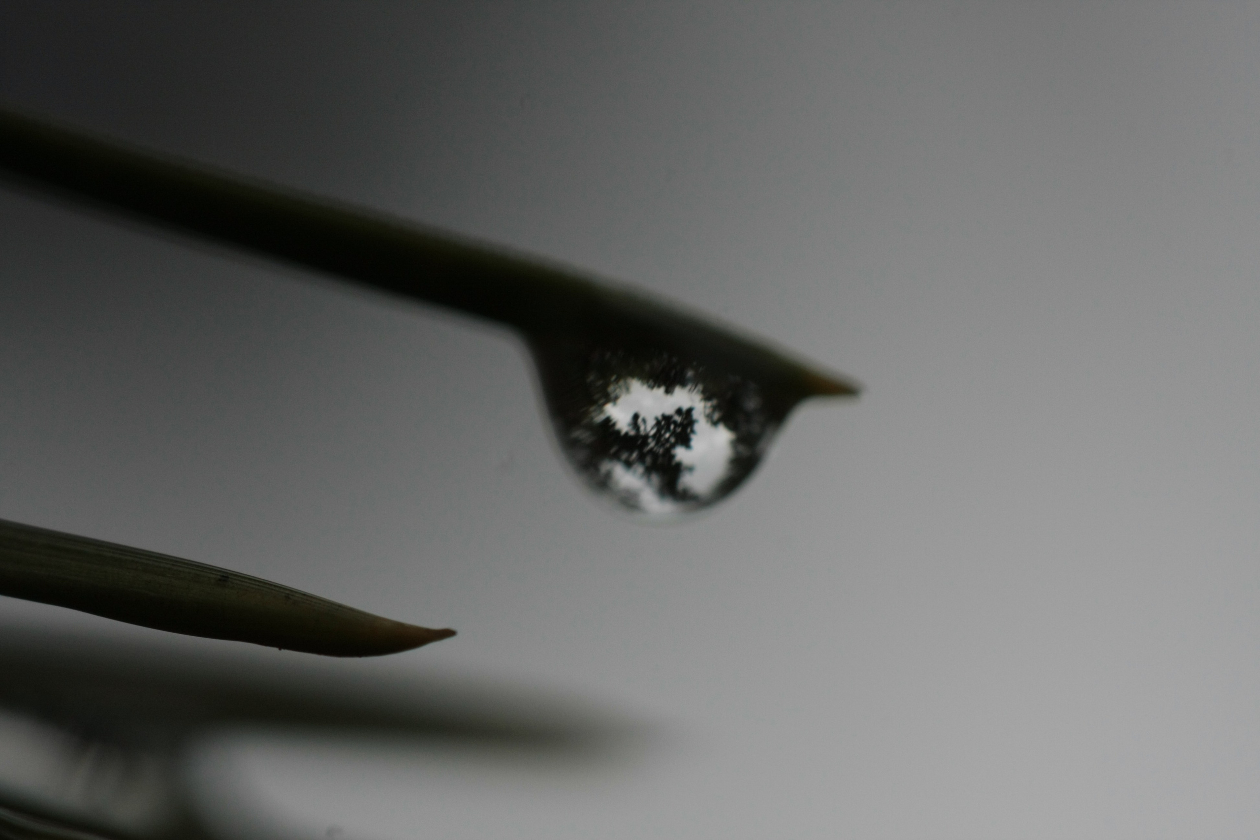 Фото Природы Забайкалья. Студия Максима Белослюдцева