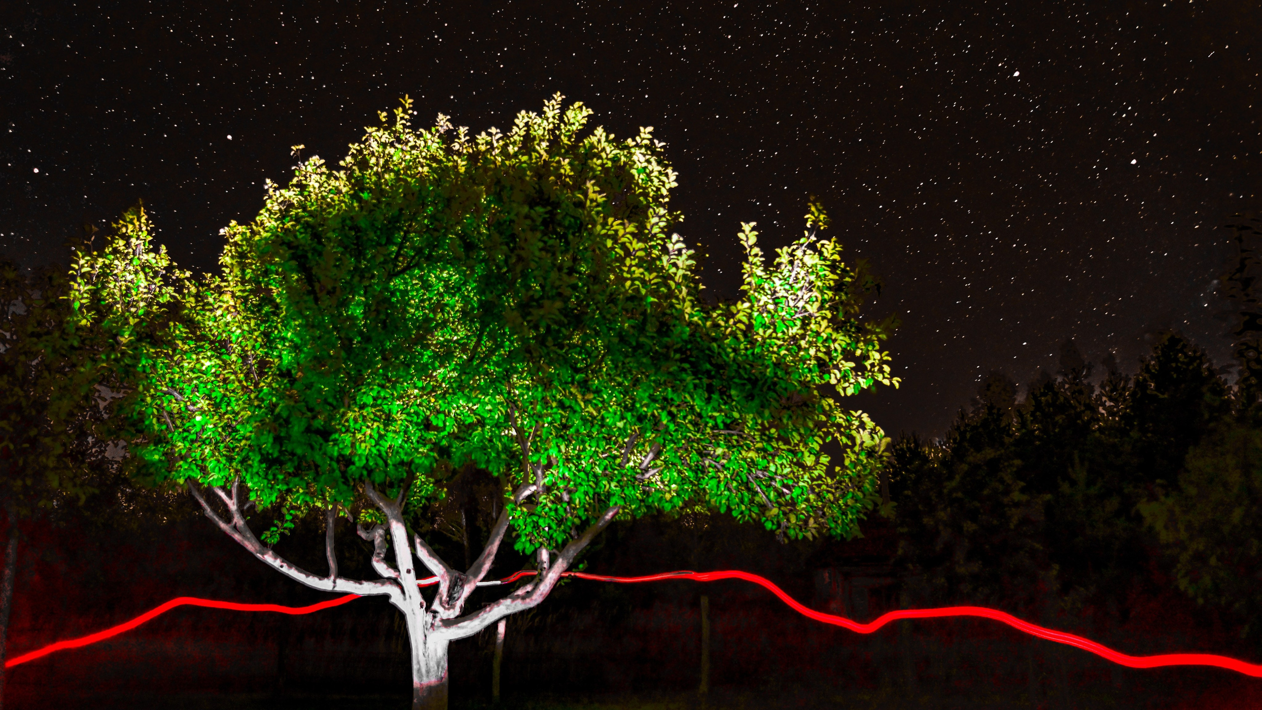 Вальков Сергей фотограф в Санкт-Петербурге