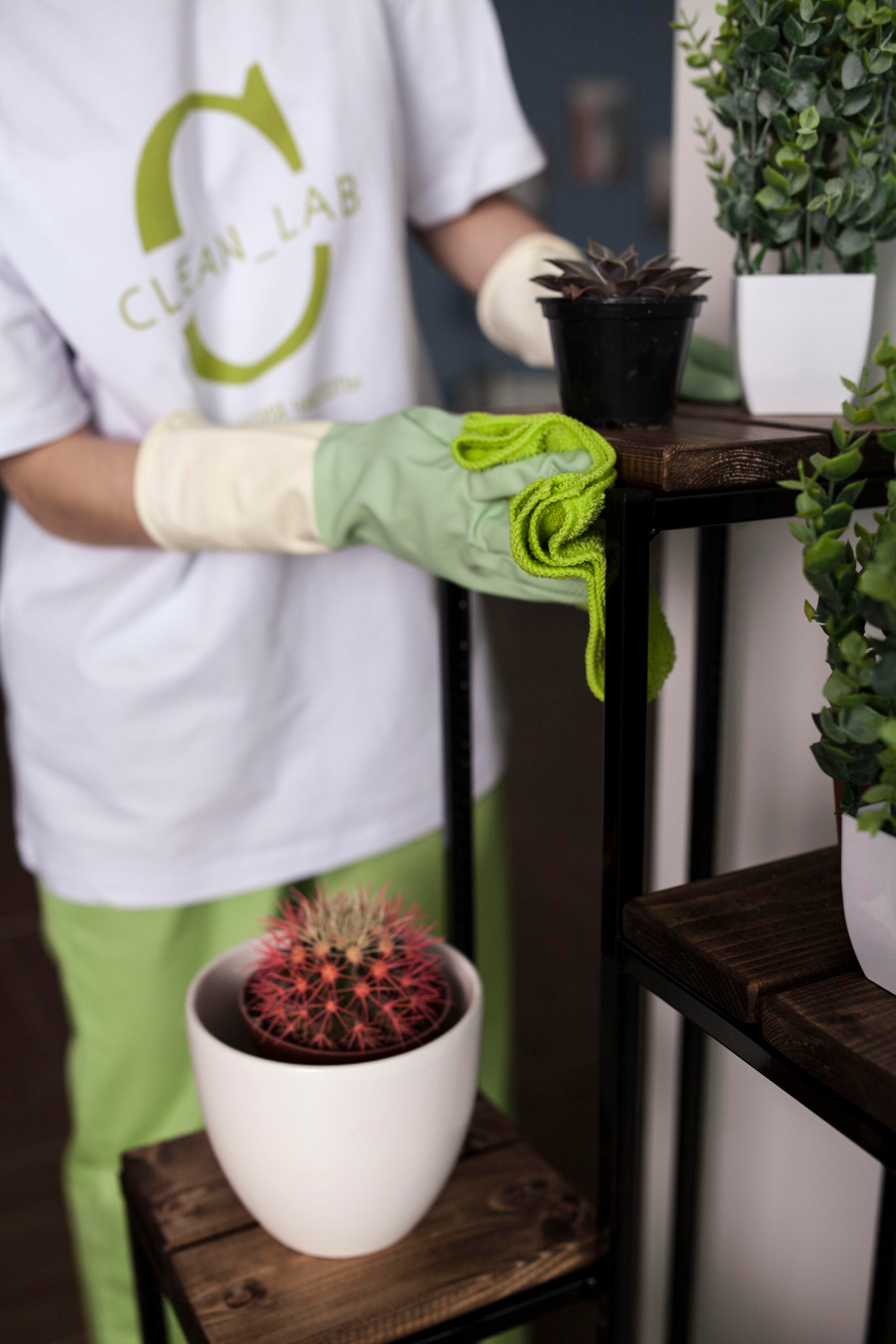 Для Клининговой компании. Профессиональный фотограф