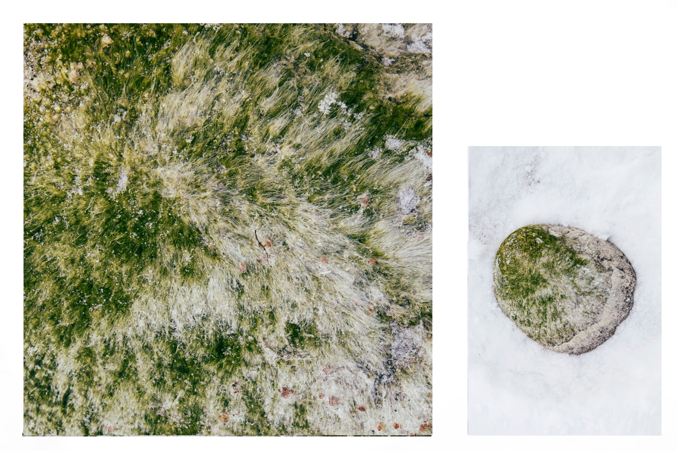 Камни. Портретный фотограф Таня