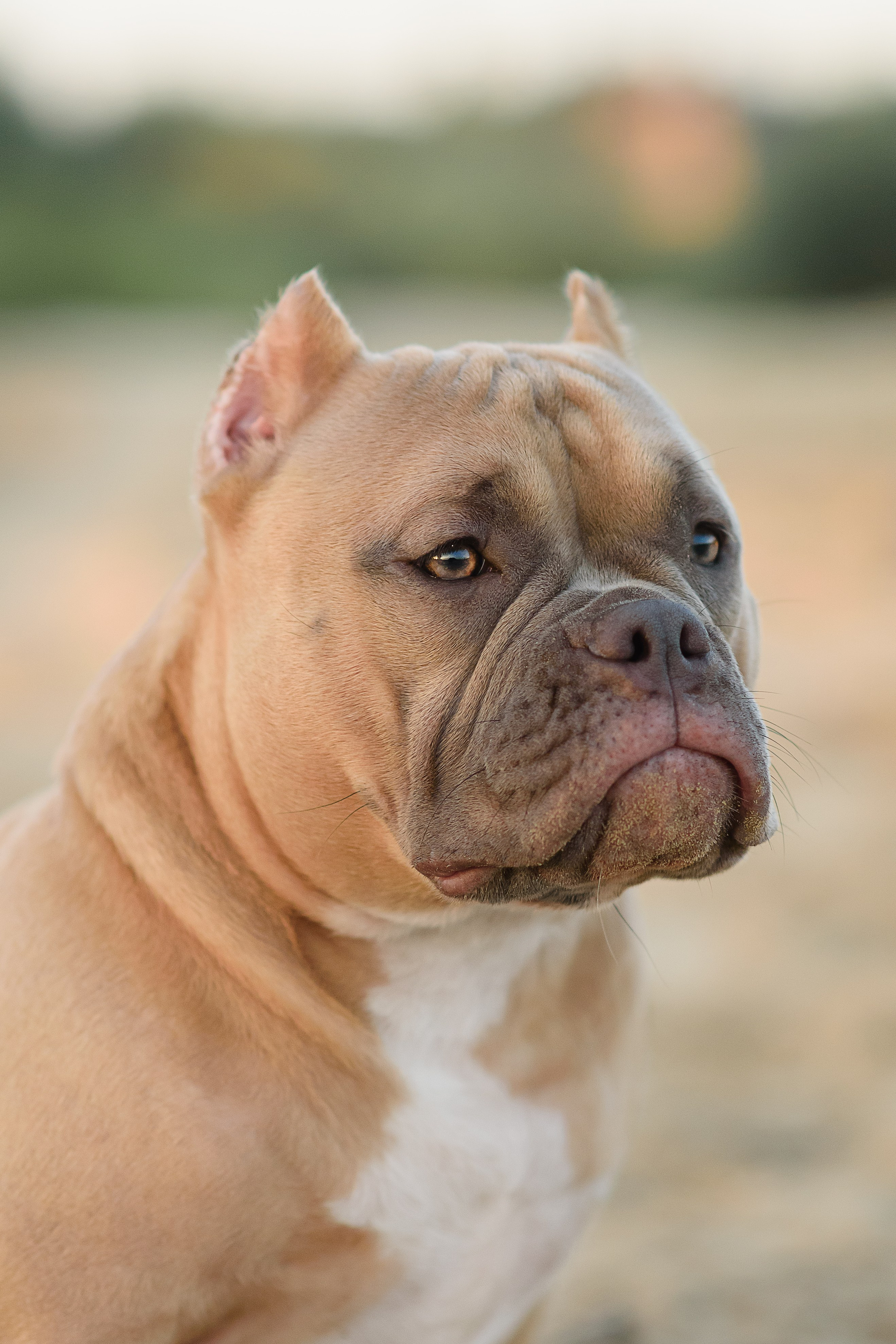 Аляска — Амбулли — 23.08.2024. Фотограф — Анималист | Анна Абрамова