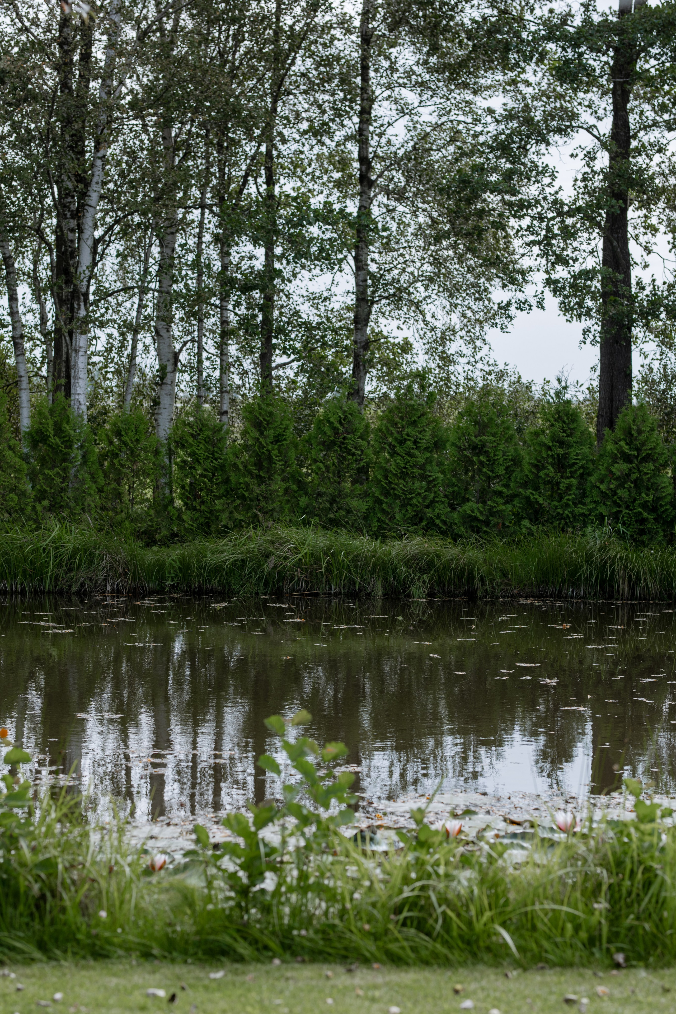 Ангелина и Дима. Свадебный фотограф Витебск Минск