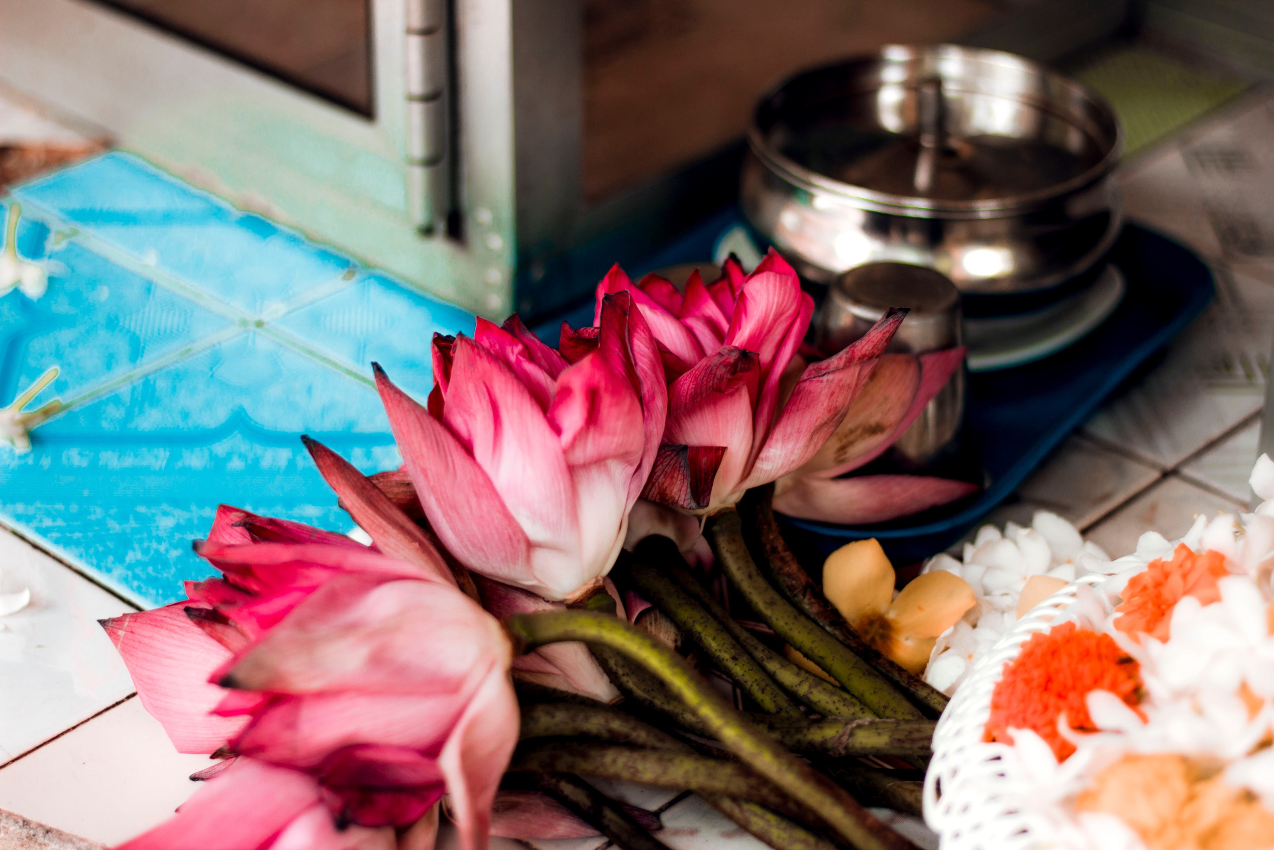 Sri Lanka. Art Photographer