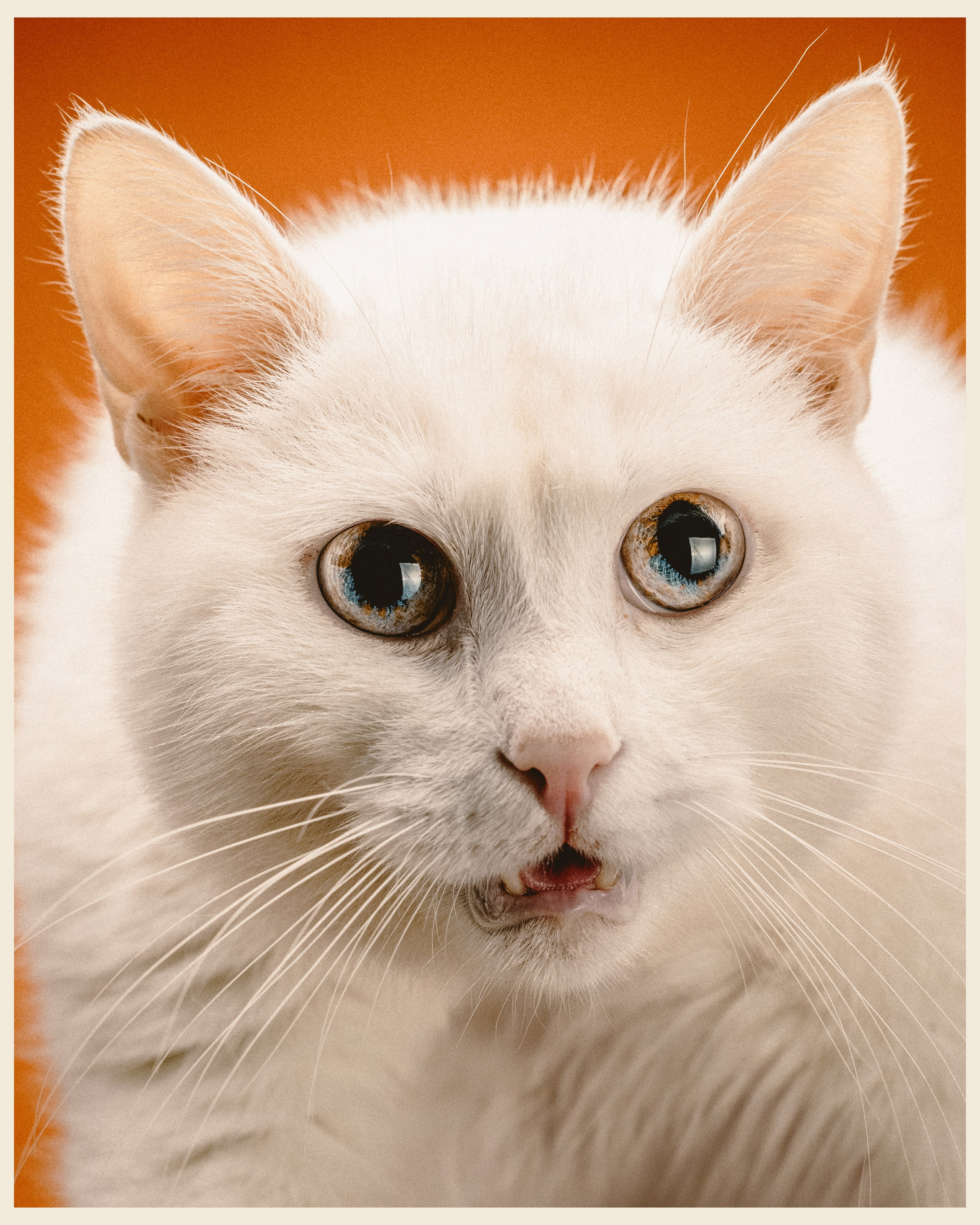 OM x VANO. Ivan Petrov photographer