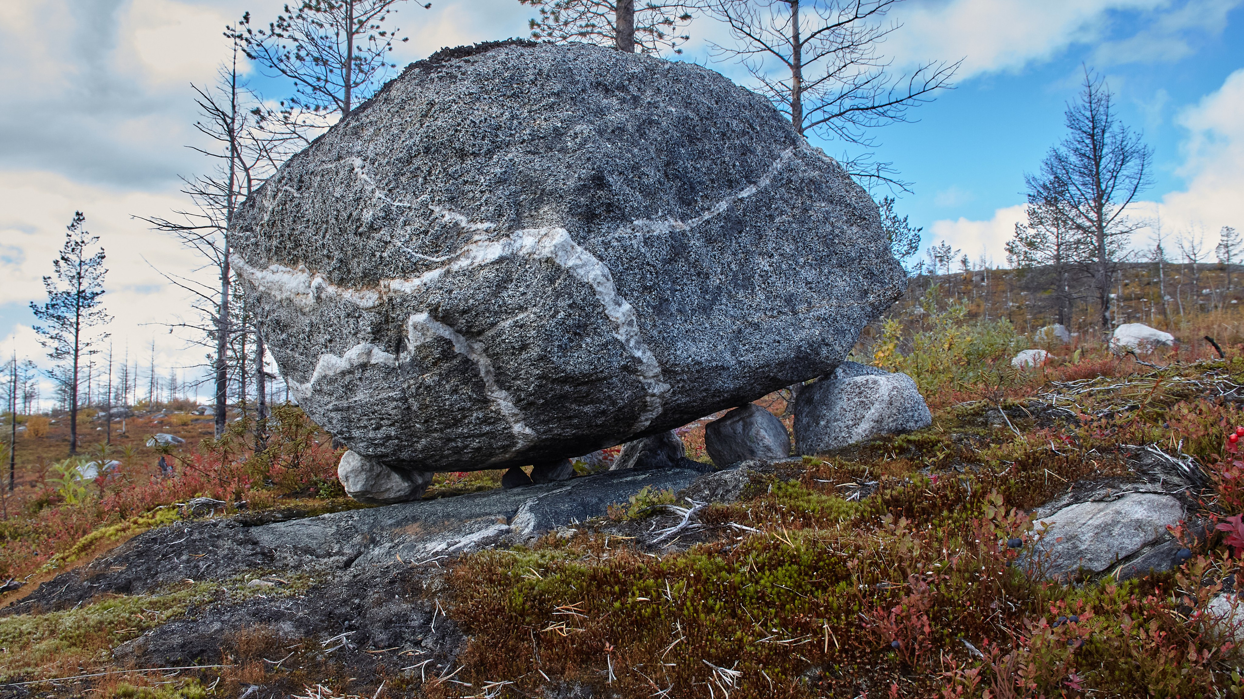 Тундра Лес и Сопки. Пейзажи Крайнего Севера. Баренцево море, Рыбачий, Средний, Немецкий