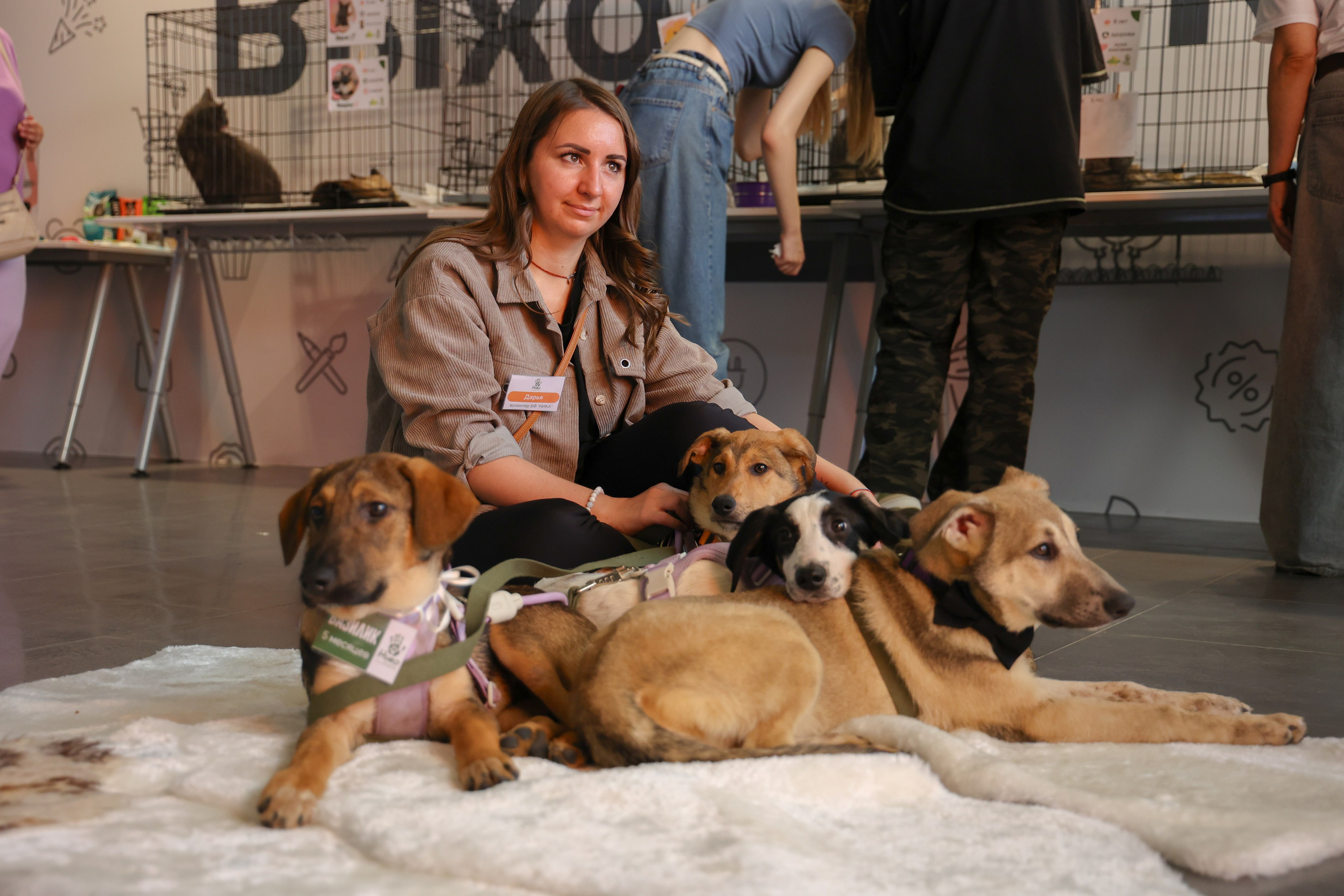 ECO FEST. Фотограф Вадим Бодылев