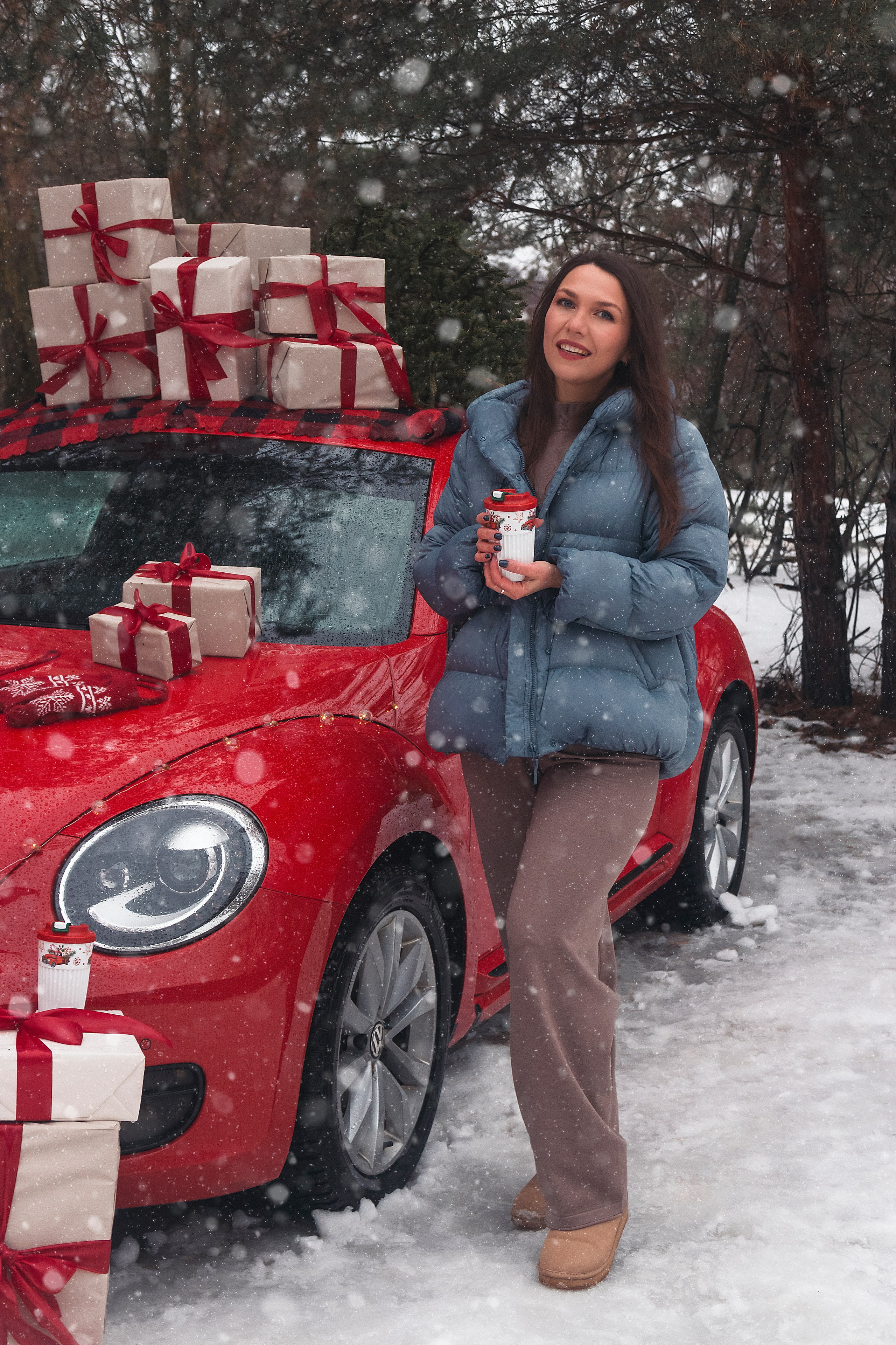 Новогодний красный жук. Фотограф Ольга Бобб Нижний Новгород