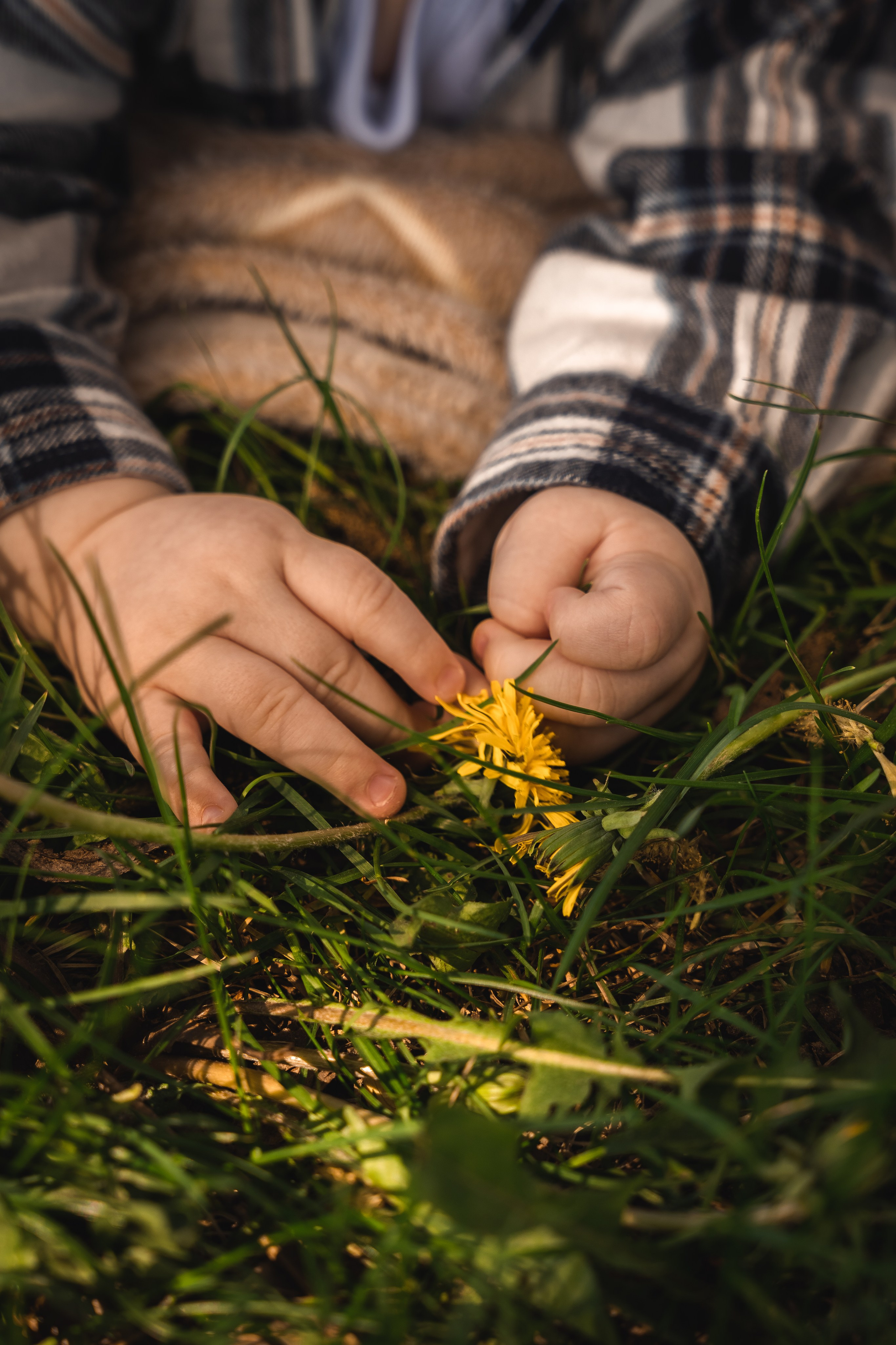 Семья Биц. Фотограф в Ульяновске Александра Григоровских