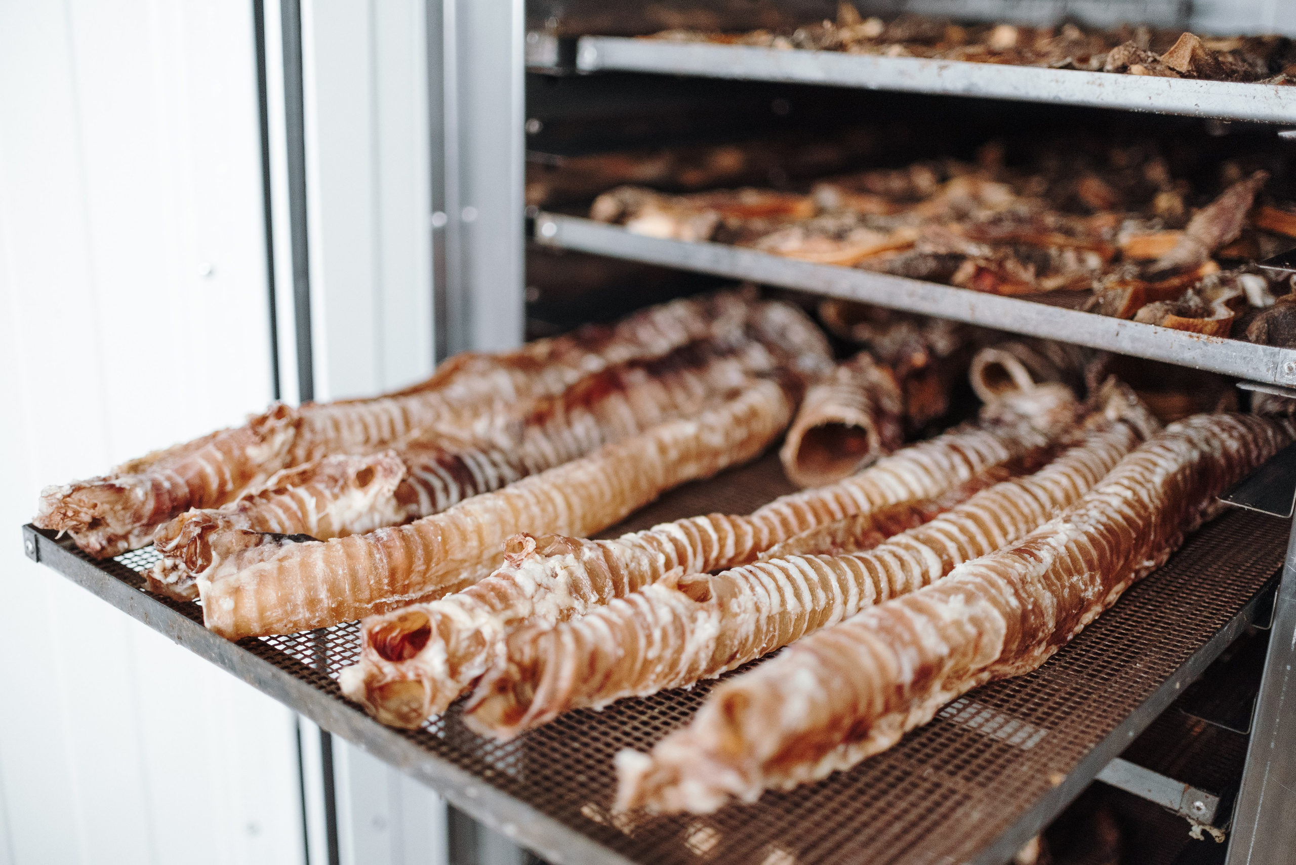 Dog Bone производство. Фотограф-анималист Валерия, Москва, Мытищи