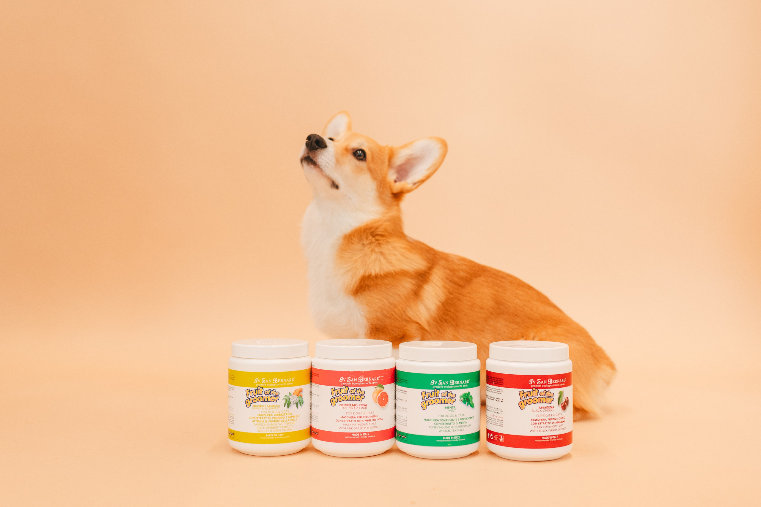 Груминг — салон. Фотограф анималист Осипчикова Мария