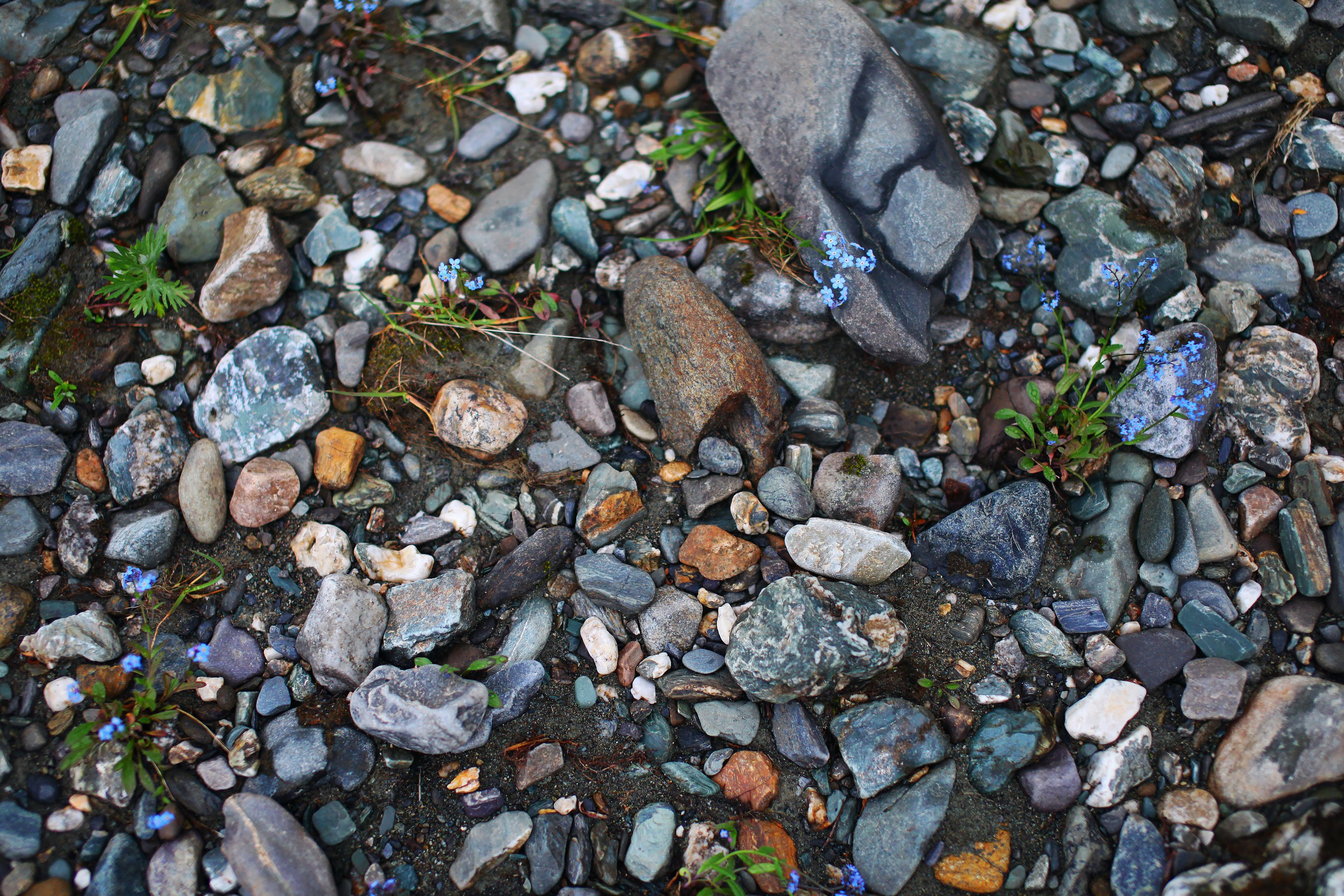 Полярный Урал. Свадебный и репортажный фотограф в Ярославле и Санкт-Петербурге Роман Микрюков