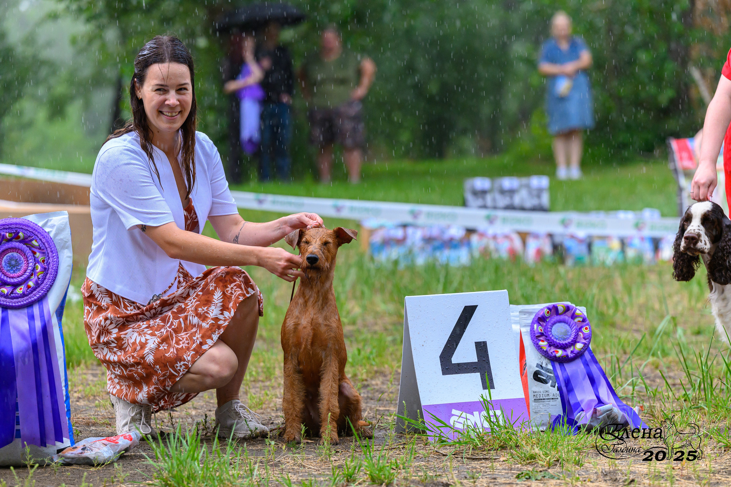 Отзывы. Фотограф анималист Елена Галдина г. Красноярск