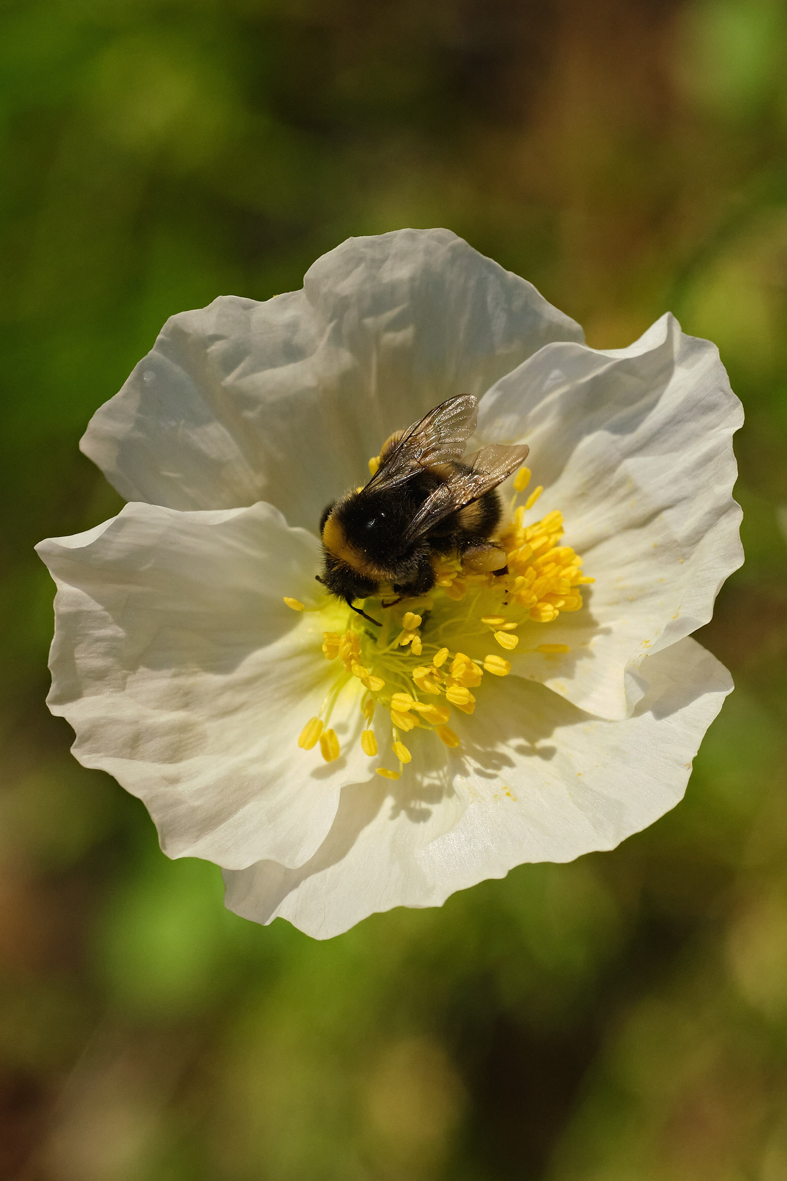Nature. Рекламная фото и видео съёмка в Екатеринбурге