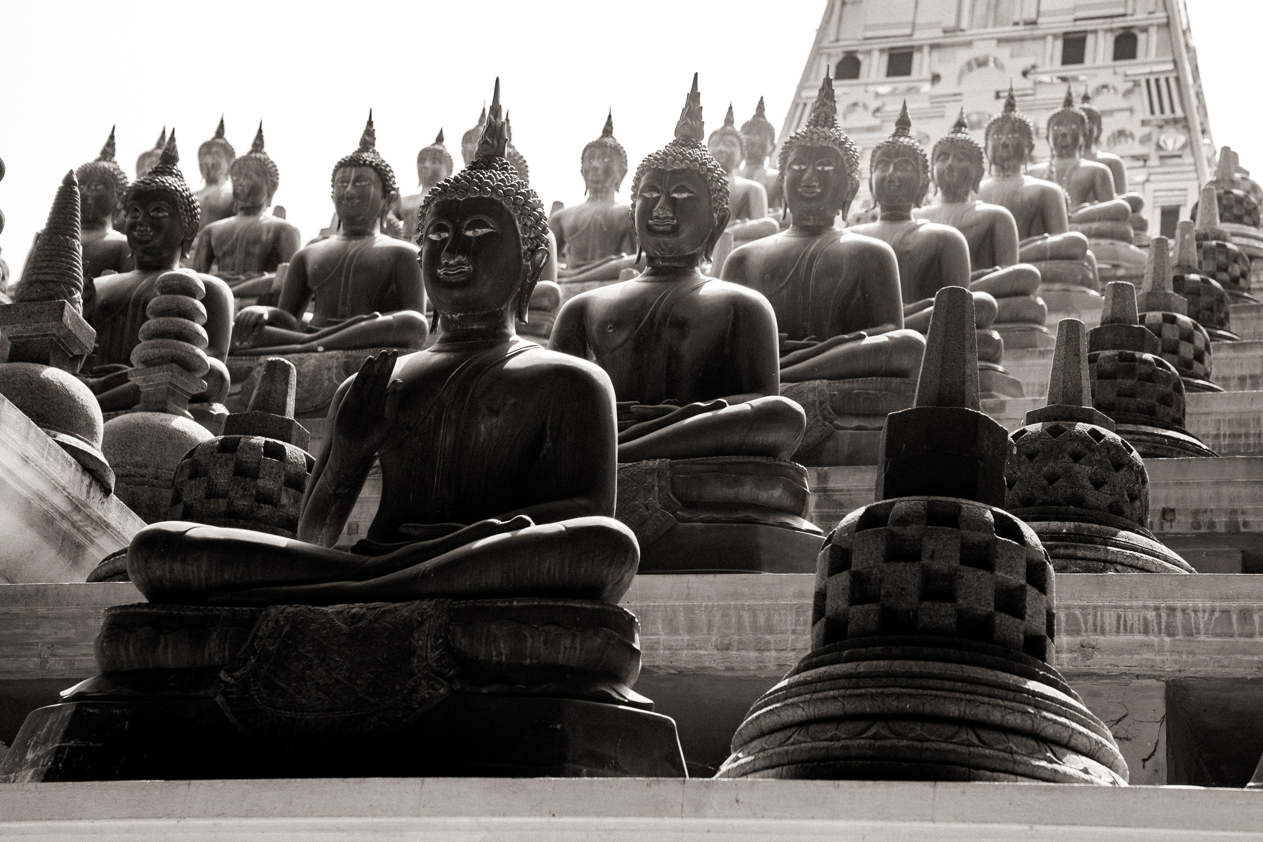 Шри-Ланка 2025. Легкая фотография