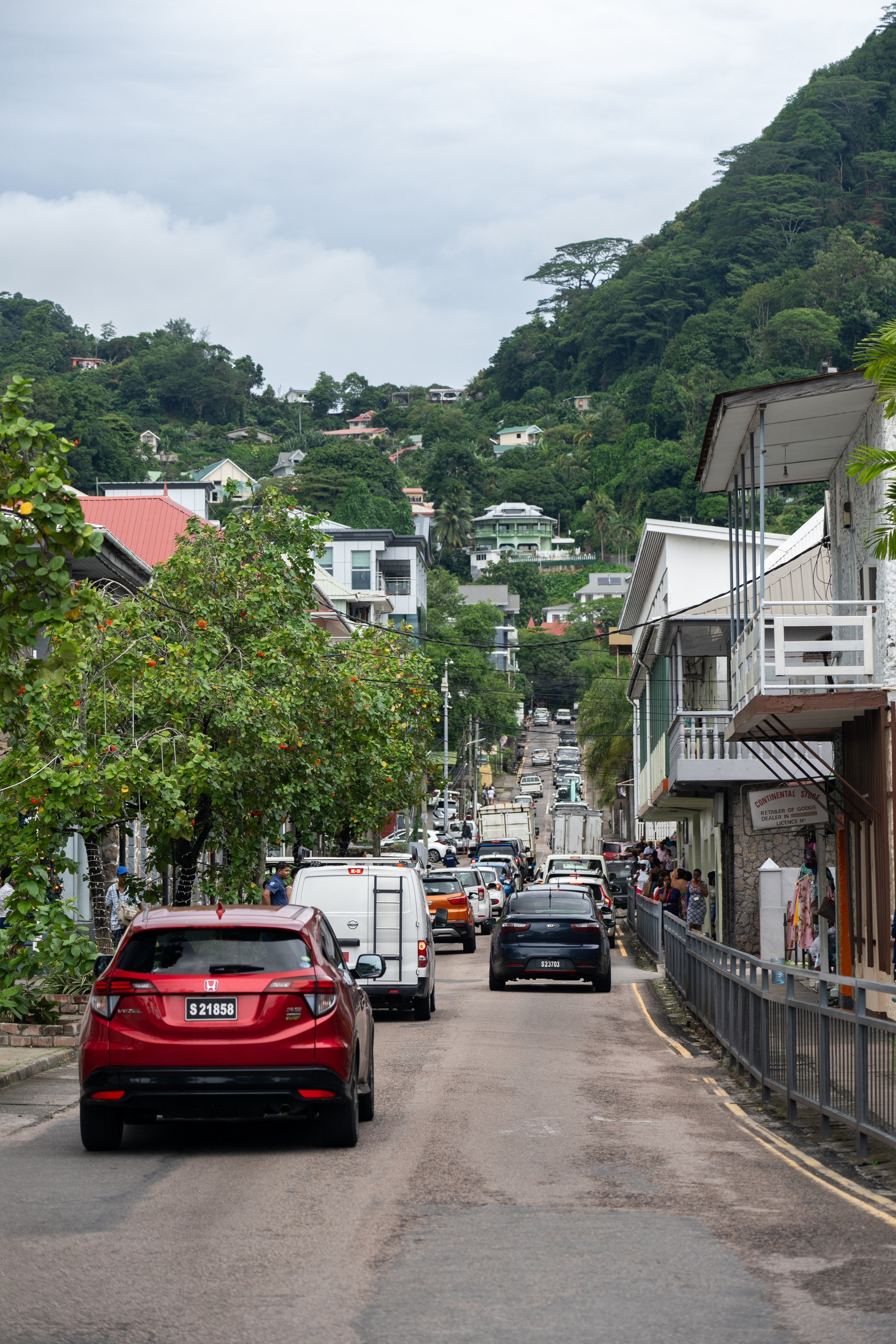 Сейшелы и Дубай 2024. Легкая фотография