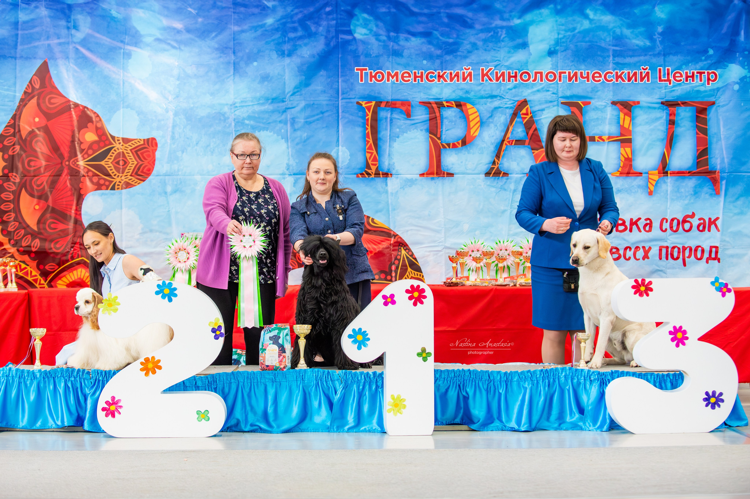 Выставки. Фотограф — Анималист