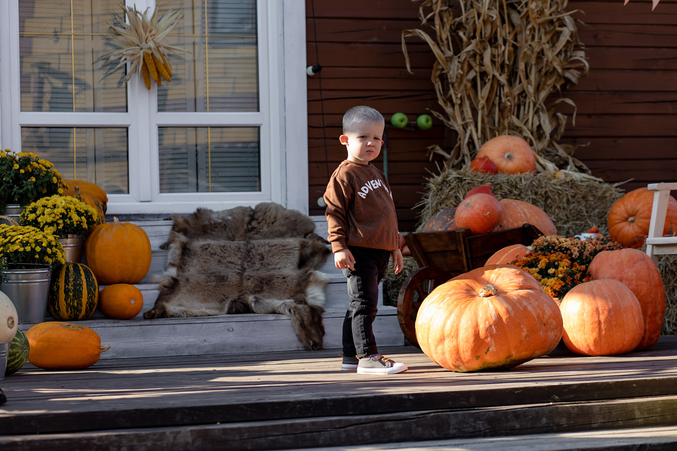 тыквенный рай