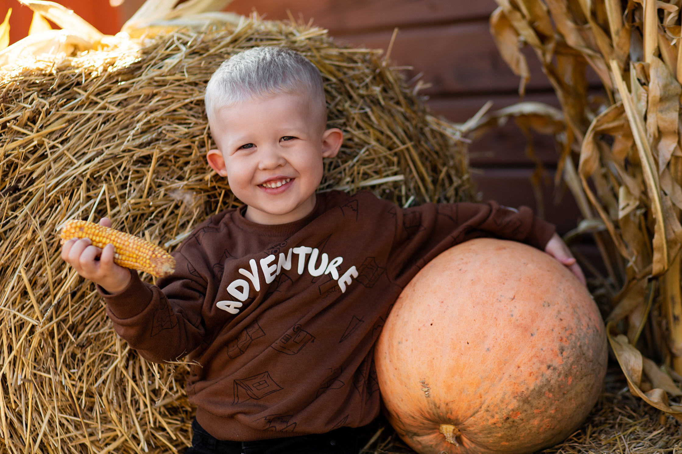 Хеллоуин, малыш, тыква, солома