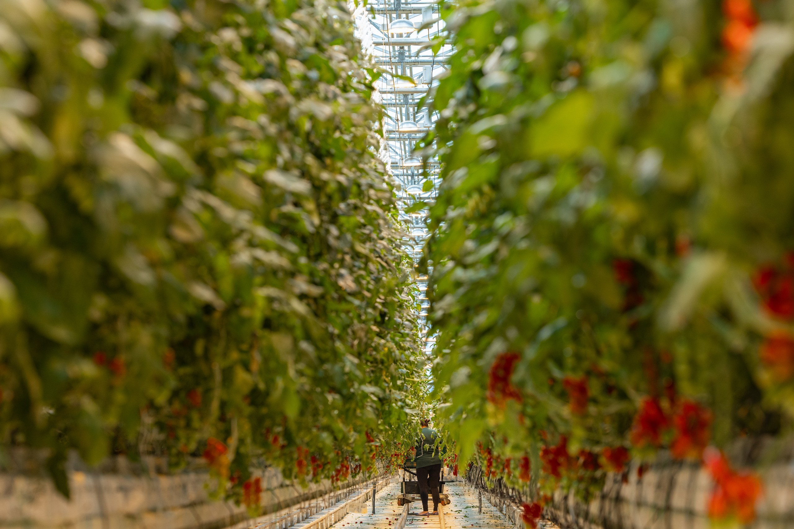 Производство. Фотограф Николай Петрушкин | Ставрополь, Москва