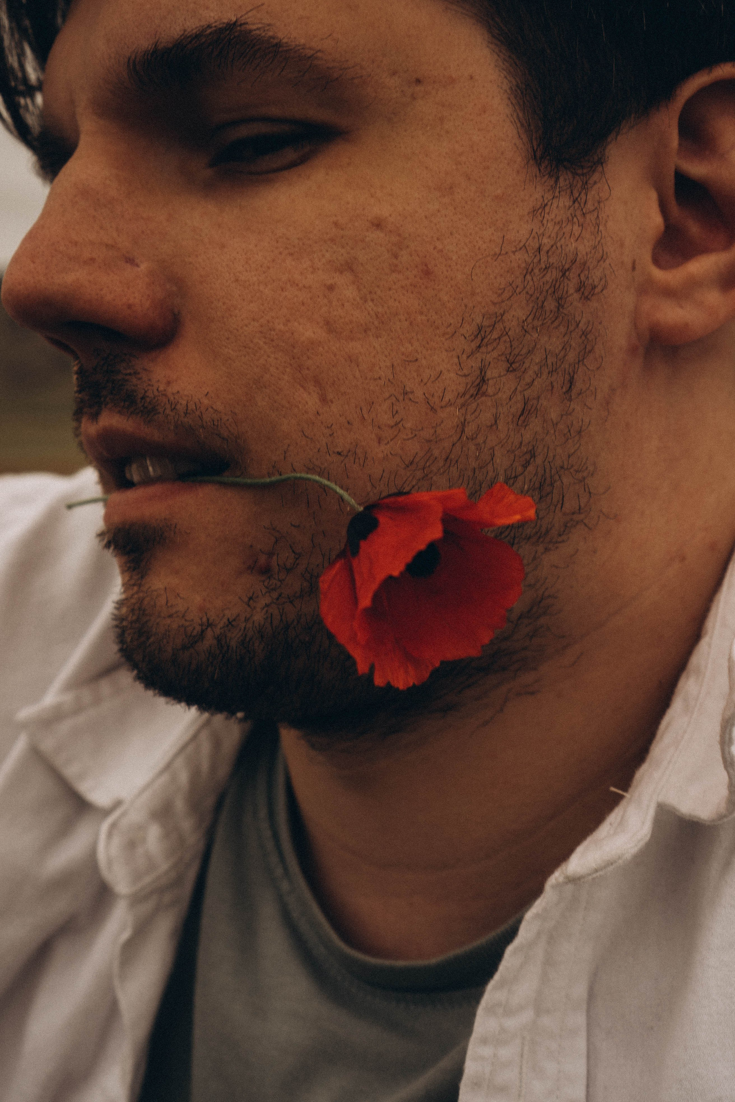 Маки. Профессиональный фотограф, Санкт-Петербург — Виктория Богомолова