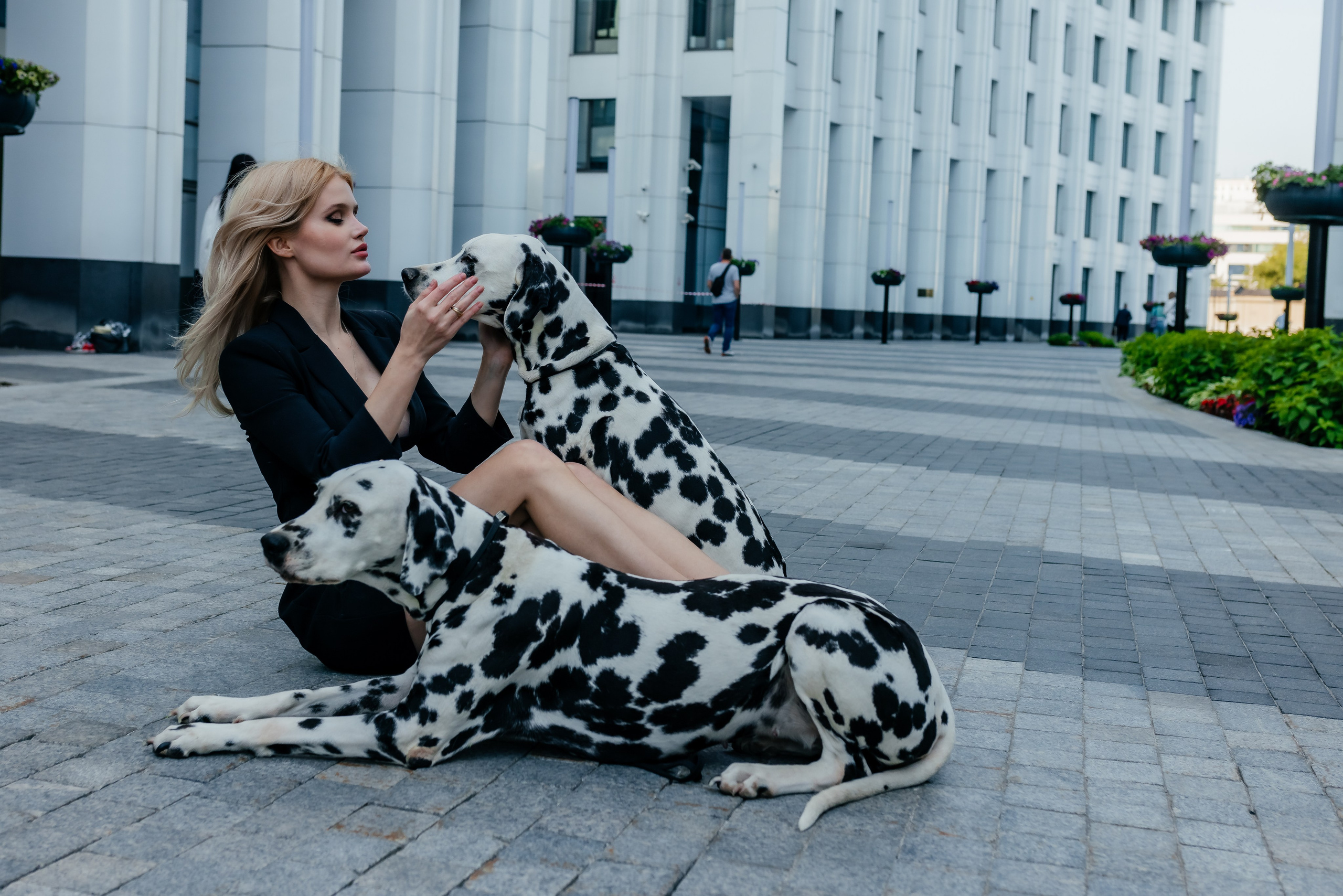 Новая Круэлла Девиль в действии. Свадебный фотограф в Москве