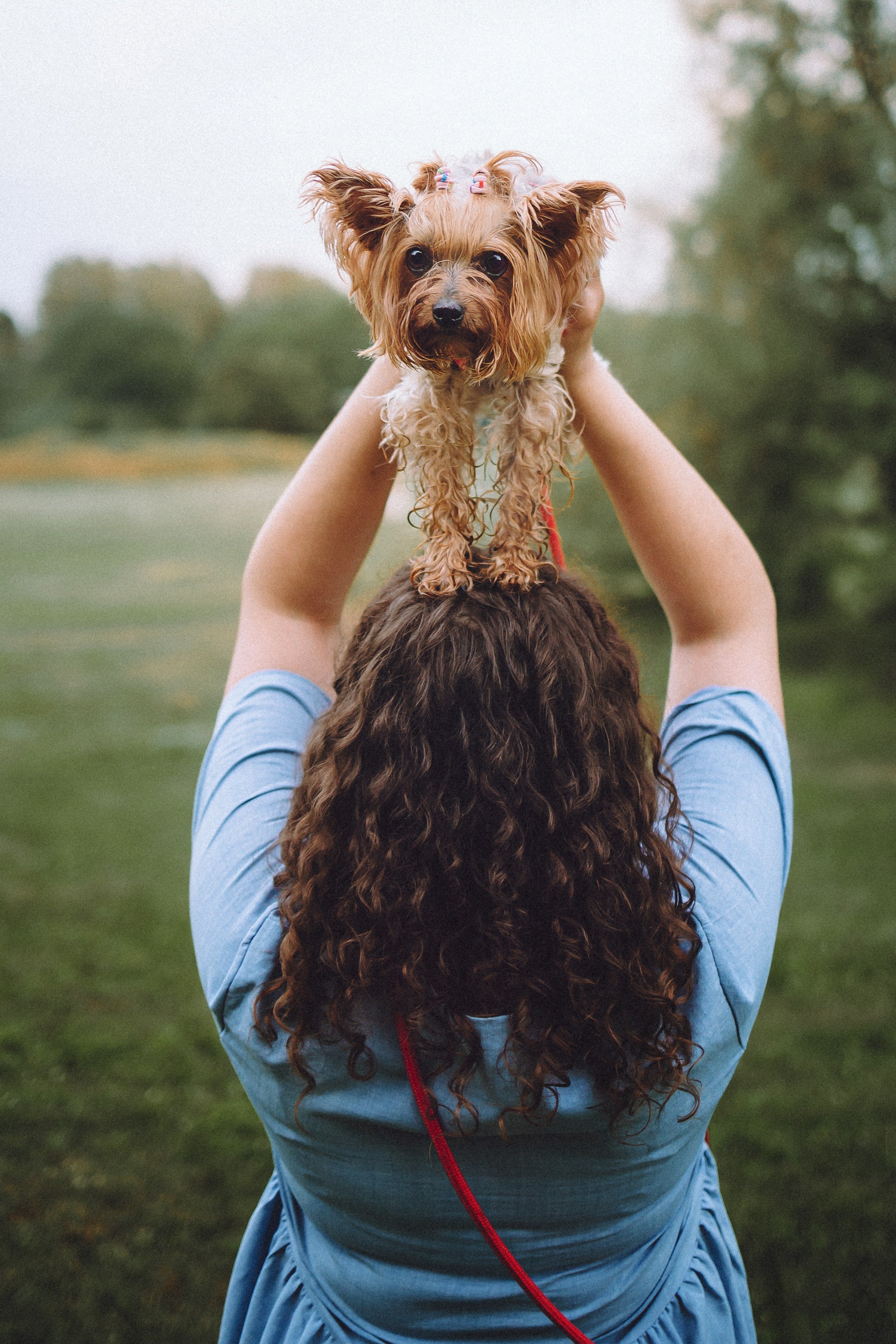 Даша и Дэзи